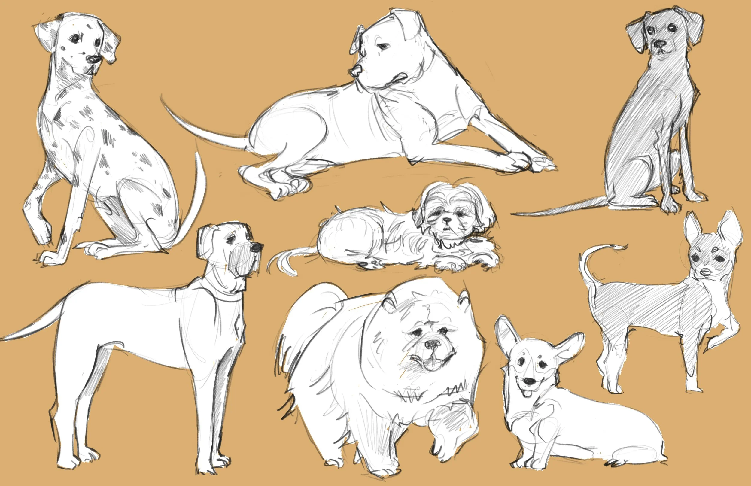 "Animal Exploration Dogs"-Digital-2025