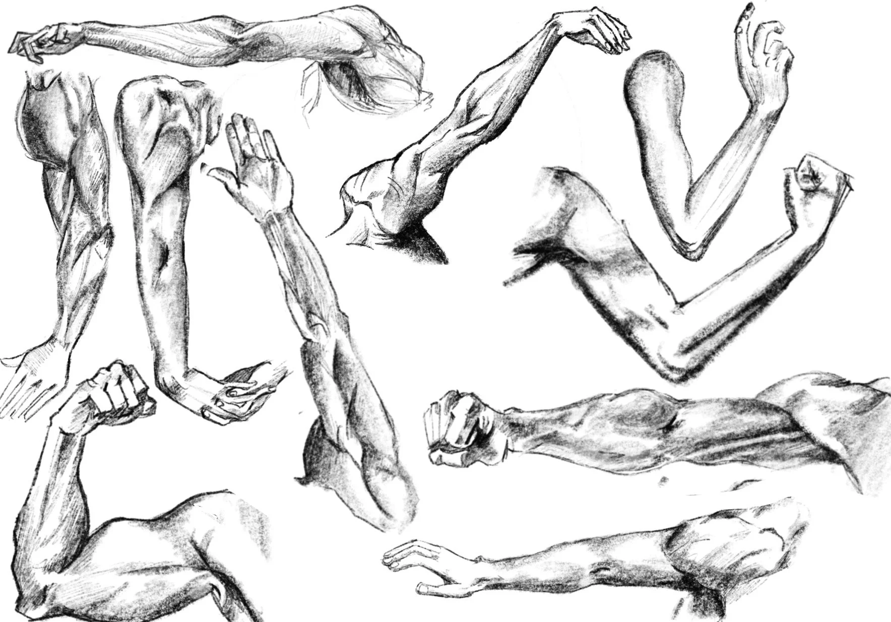 "Arm Studies" Digital-2024