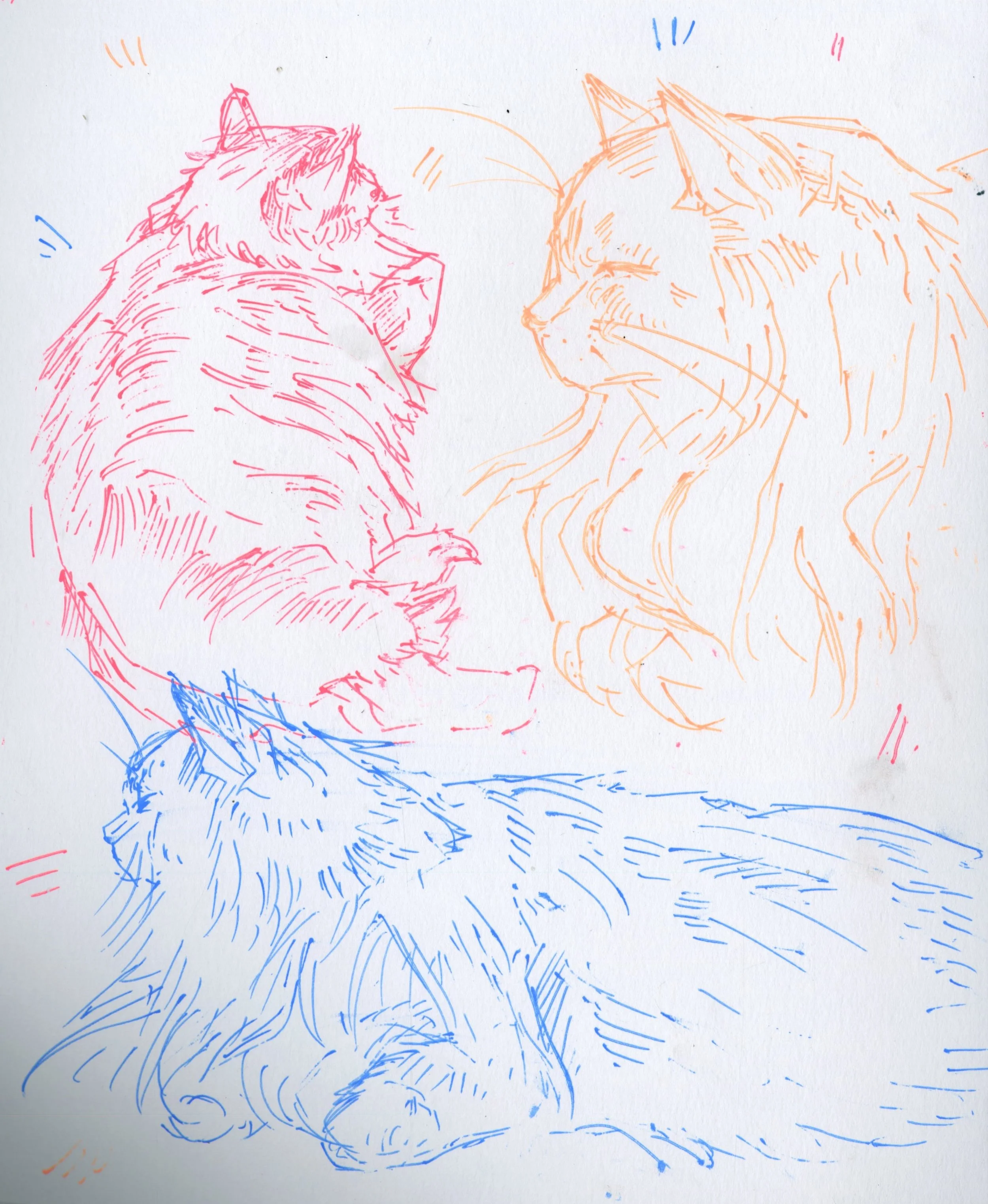 The Bookstore Cats-Pen-2025