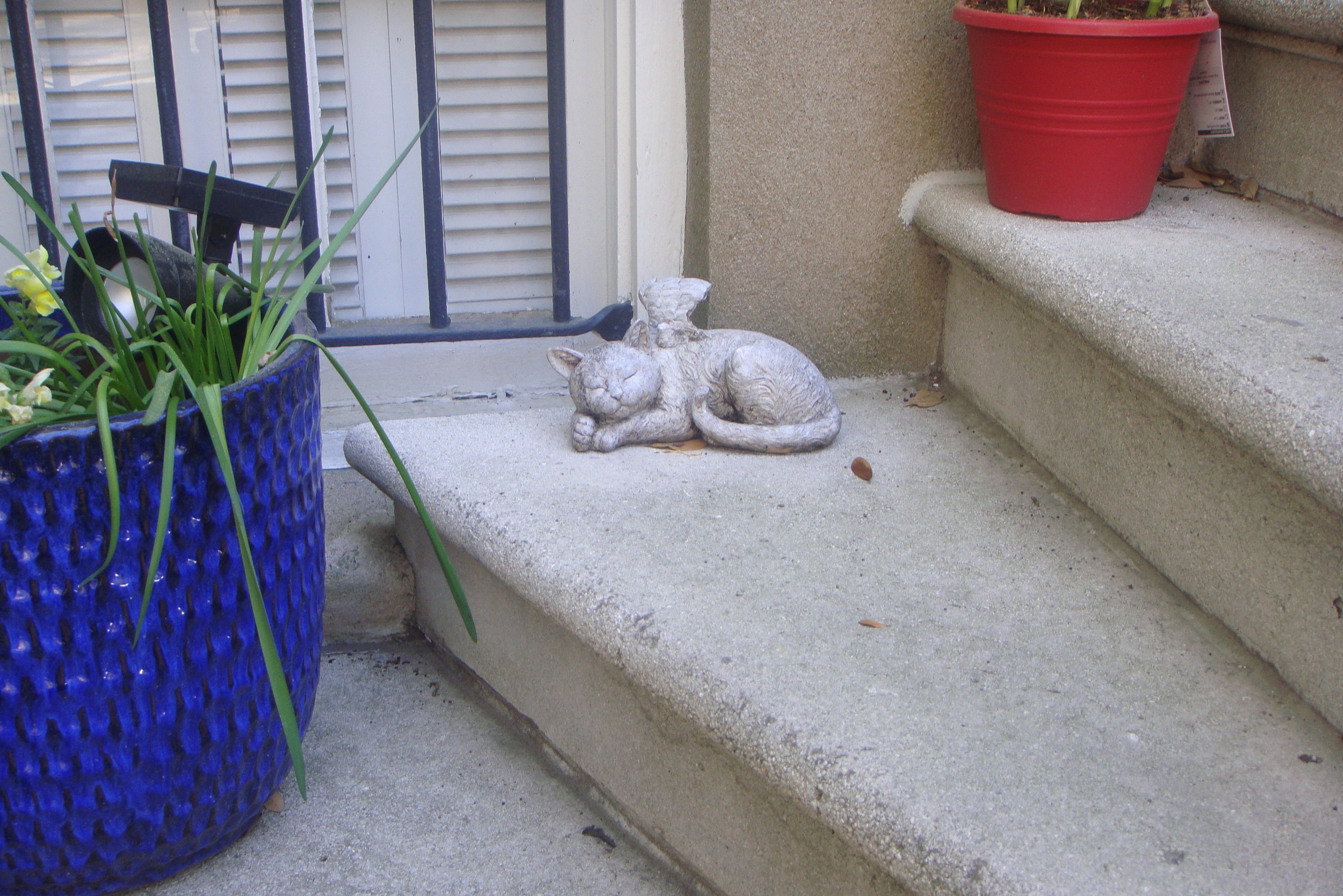 DSC06398.JPG