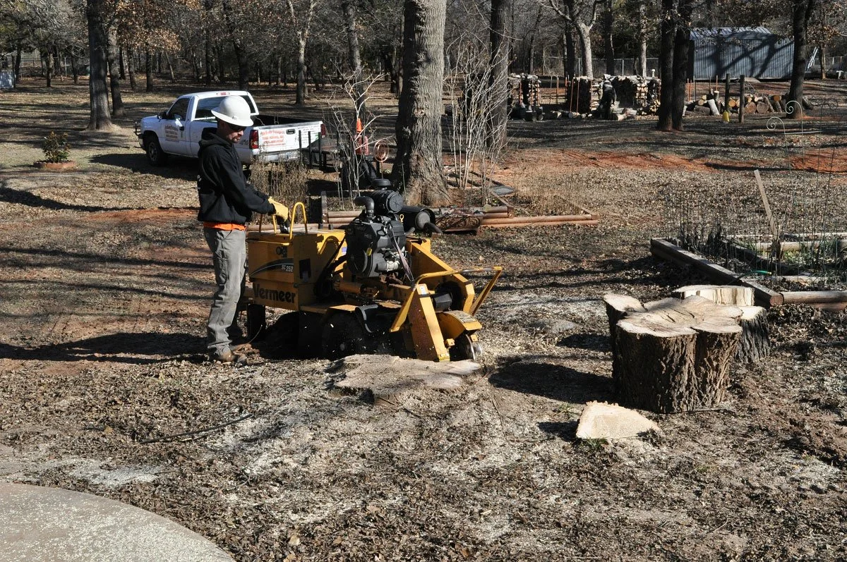 A worker operating a yellow stump grinder in a yard with trees and woodpile in the background.