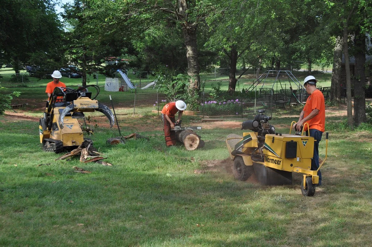 Three men in orange shirts and white helmets operate heavy machinery to cut and remove tree logs in a backyard with green grass and trees, with playground equipment and a fenced area in the background.