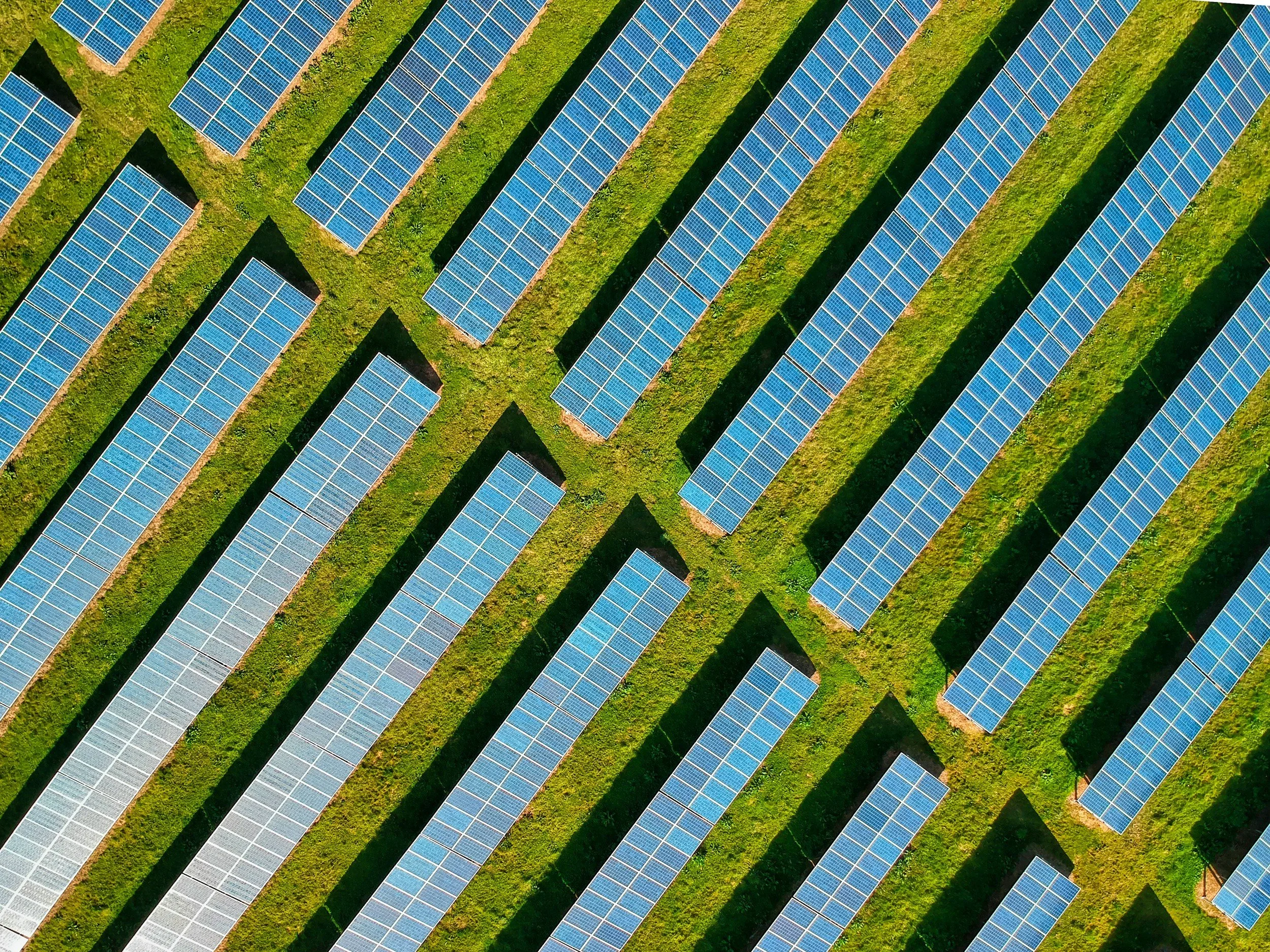 Aerial view of a solar farm with multiple rows of solar panels on green grassy land.