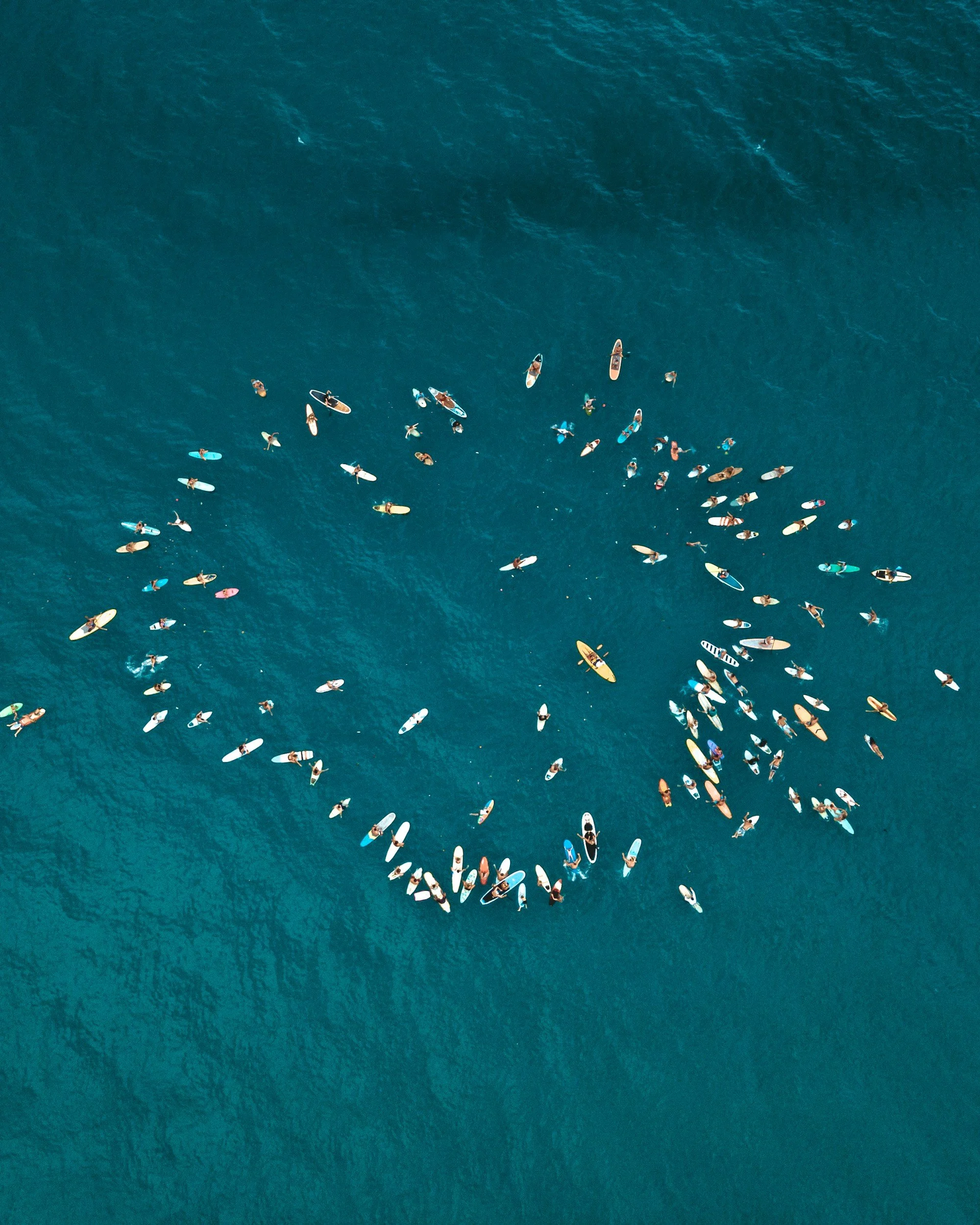 Aerial view of many people surfing in the ocean, forming a large circle.
