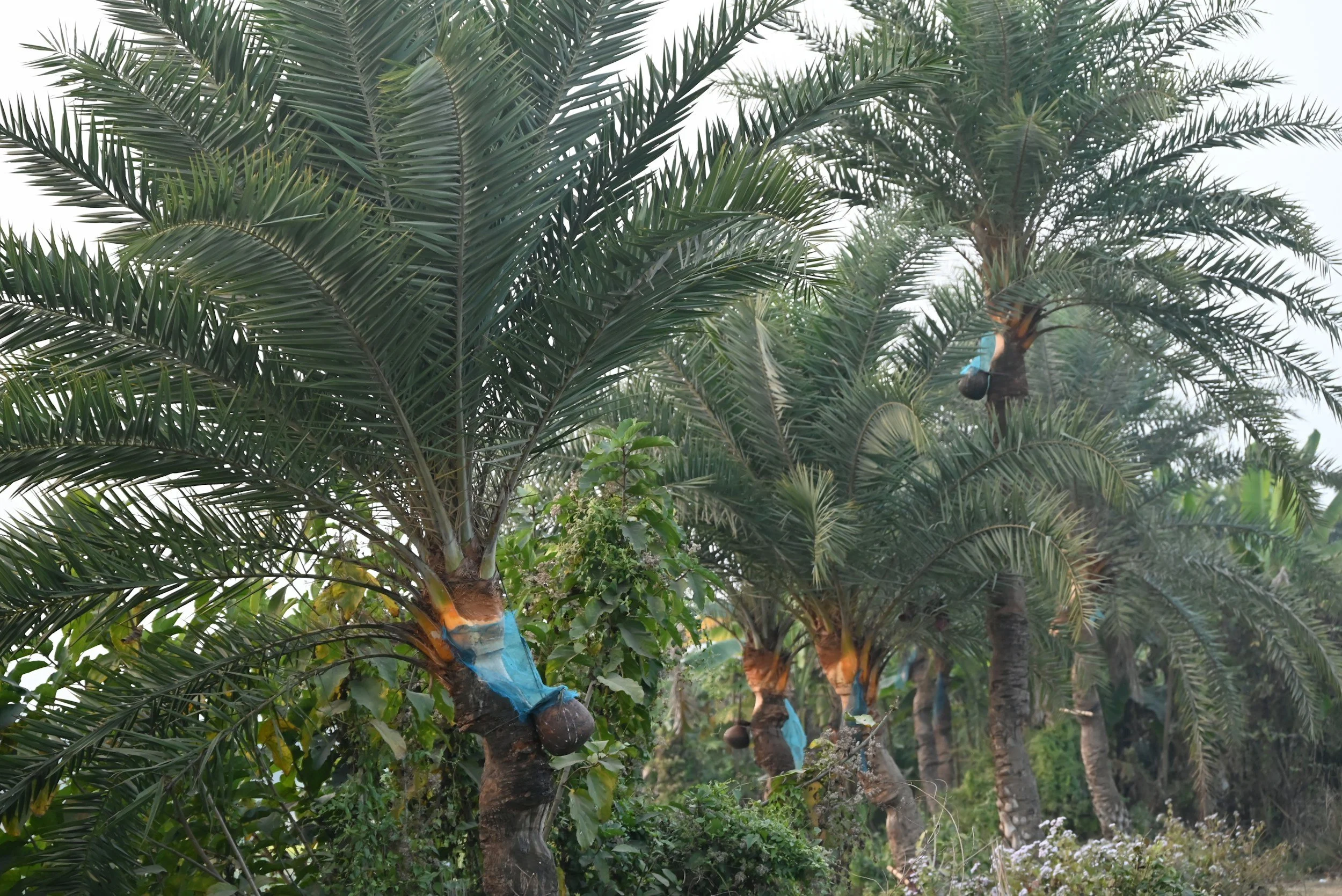 Carbon Accounting Is Potentially Expanding Beyond Emissions