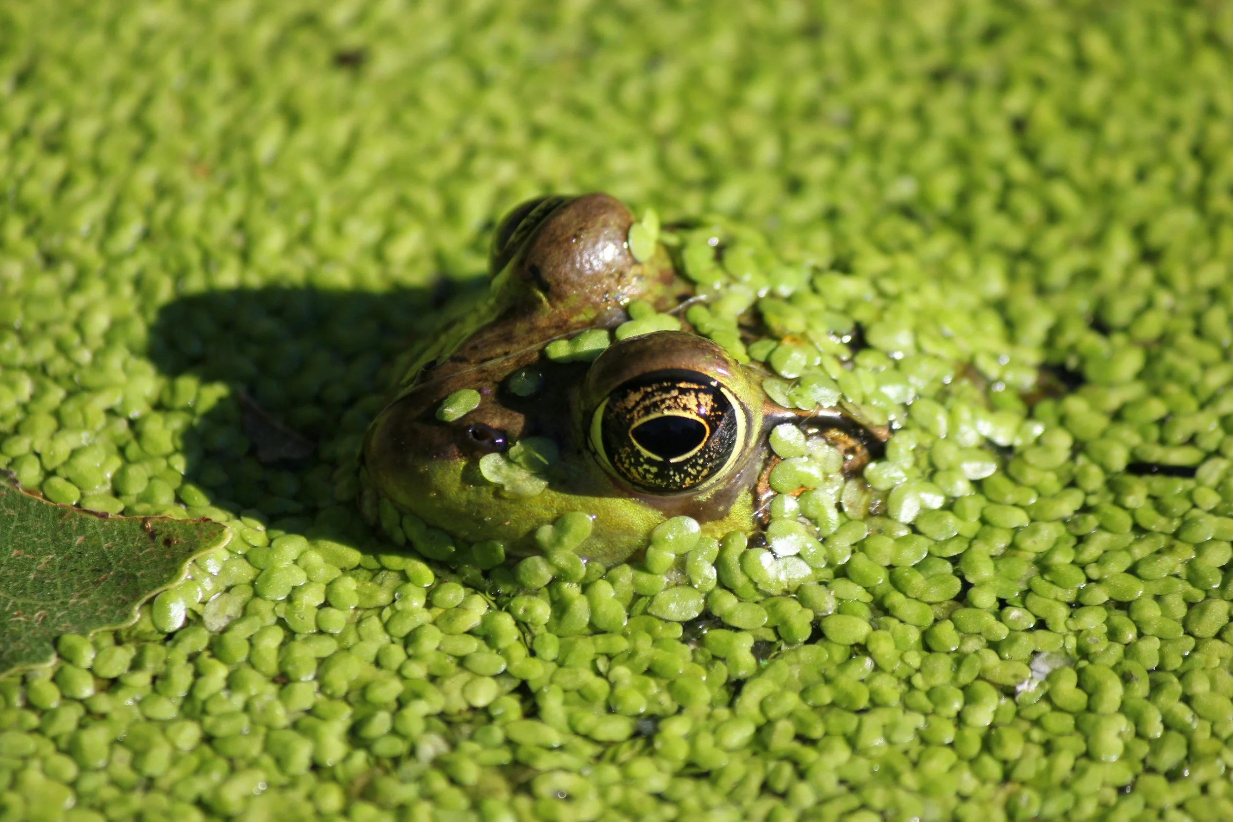 Sustainability Reporting Isn’t Expensive. Inefficiency Is.