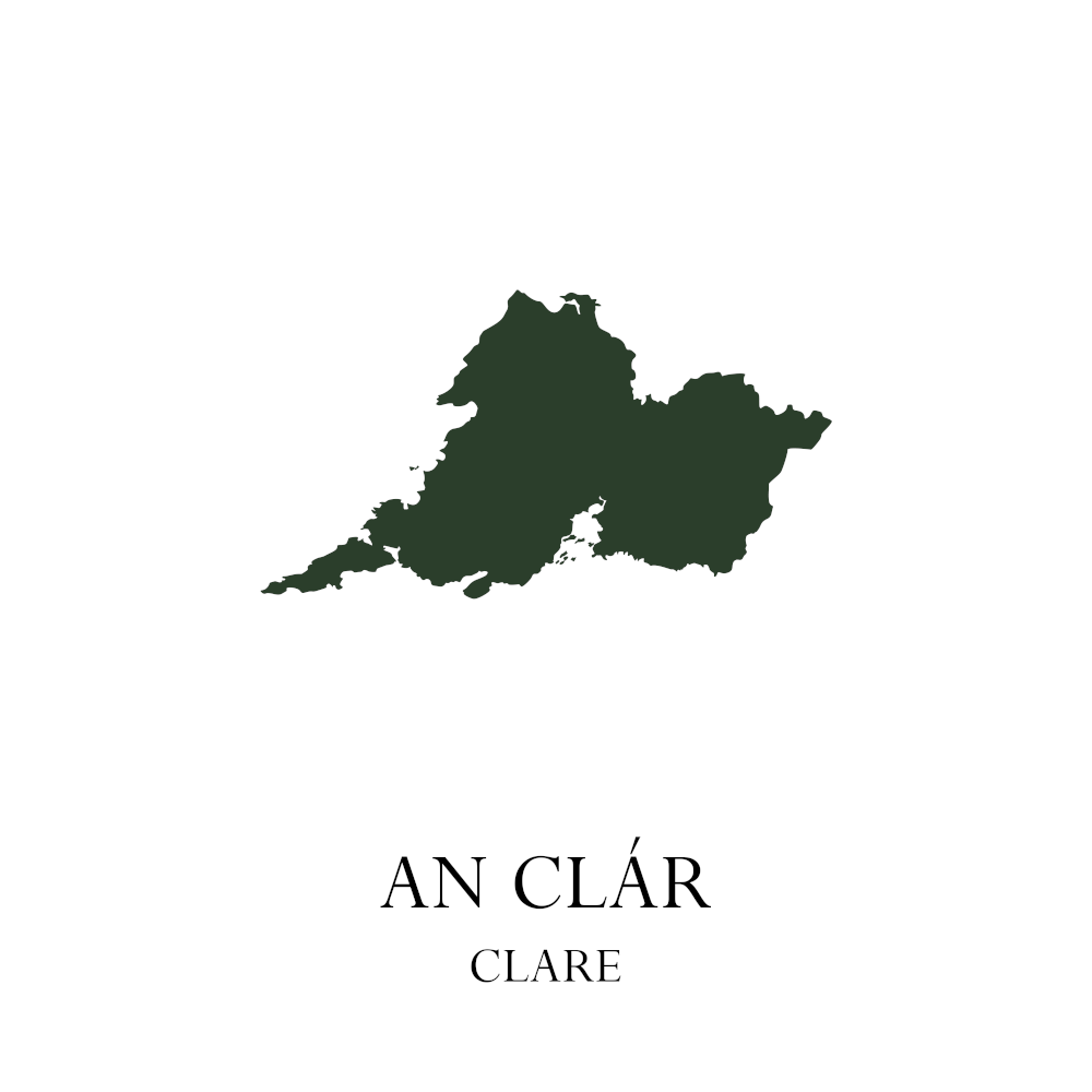 Clare In Green  (Limited Edition)