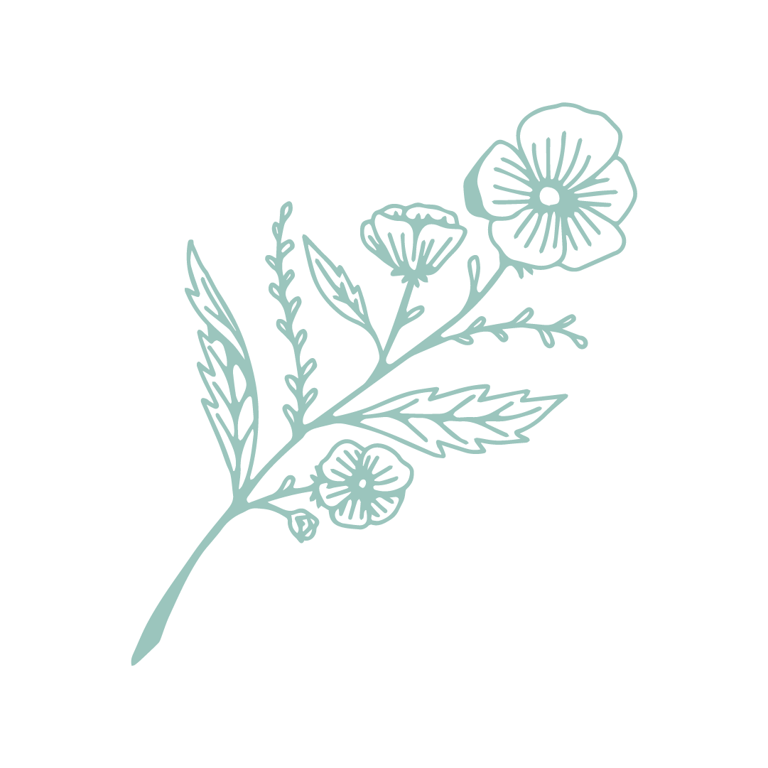 Line drawing of a flower with multiple blossoms, leaves, and stems on a black background.