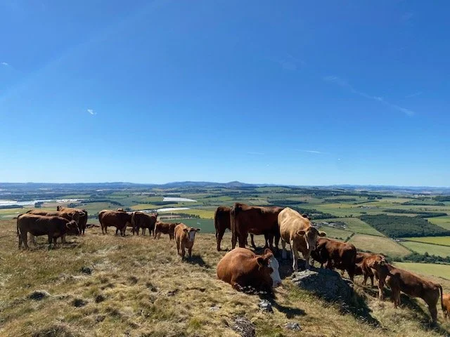 Largo Law Family Farm Upper Largo