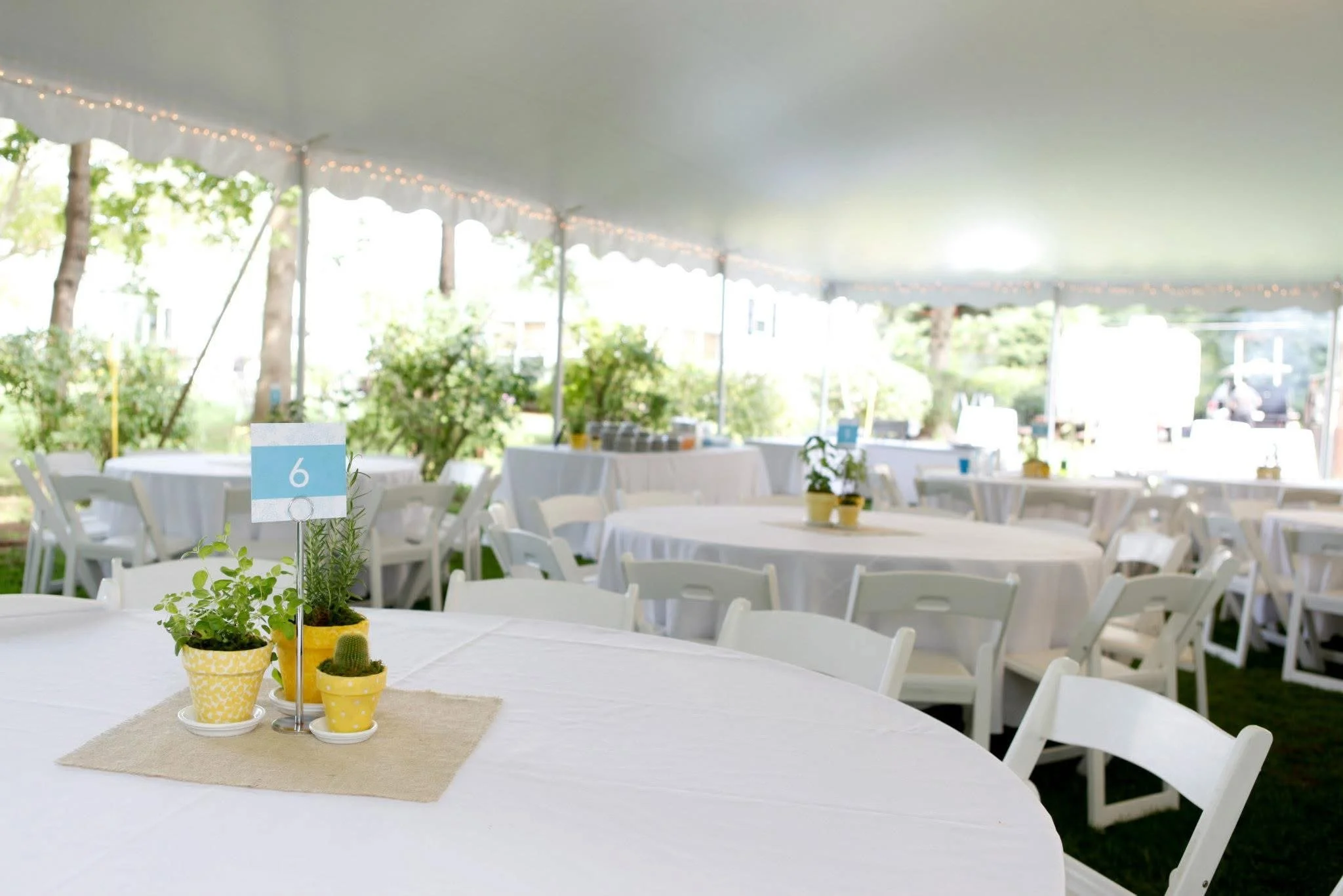 WeinbergWedding_Tables.JPG
