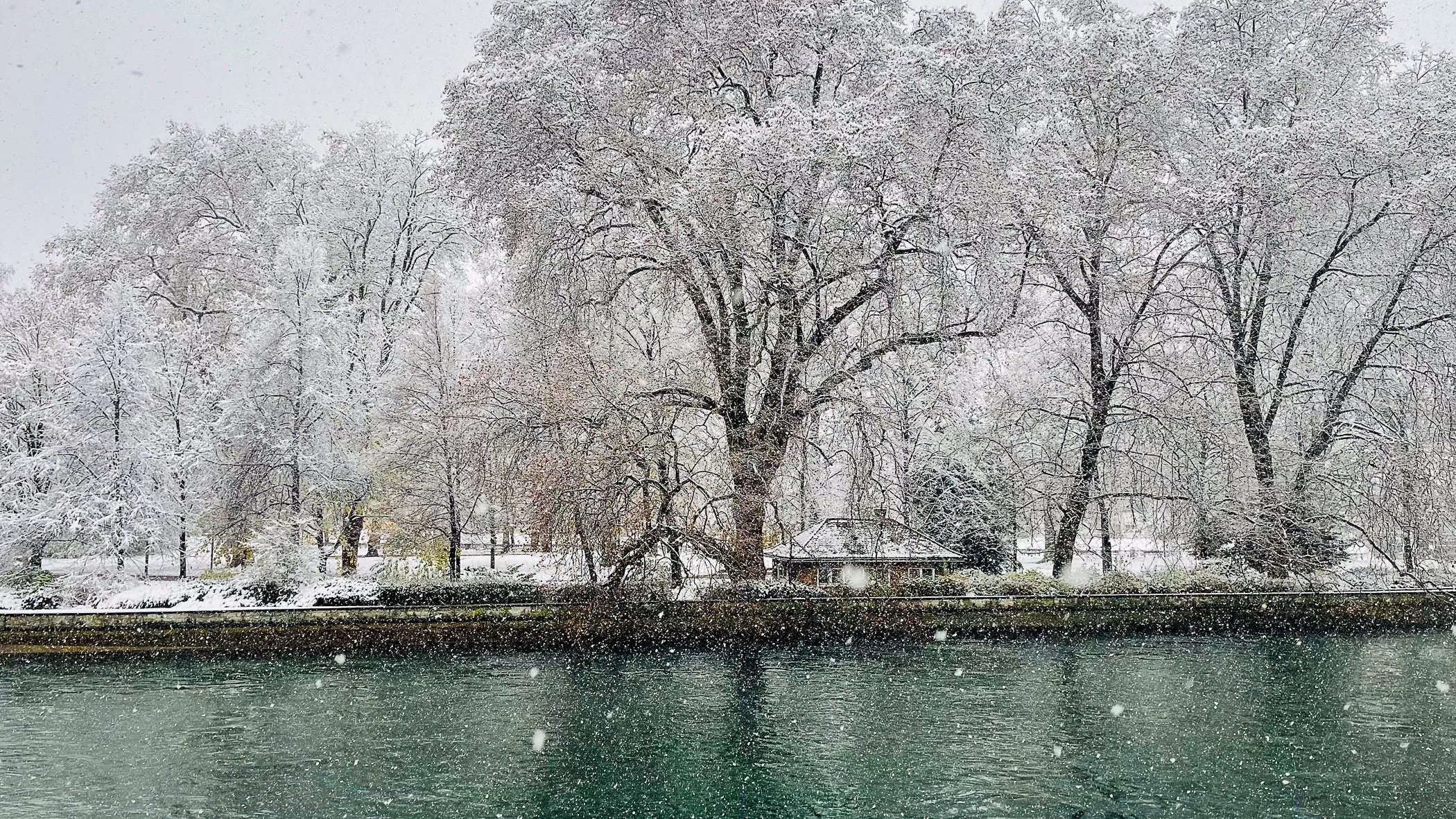 Snow falling over a river with trees covered in snow and a small house near the shoreline.