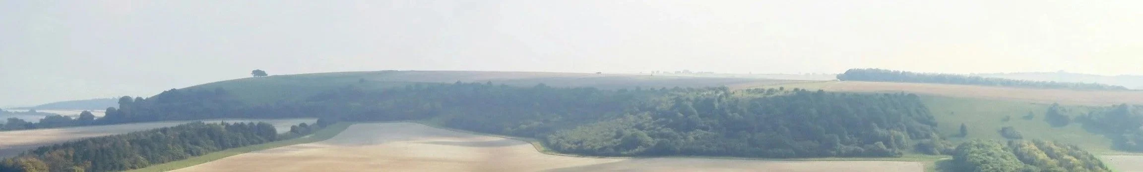 A panoramic view of rolling hills with patches of trees and open fields under a cloudy sky.
