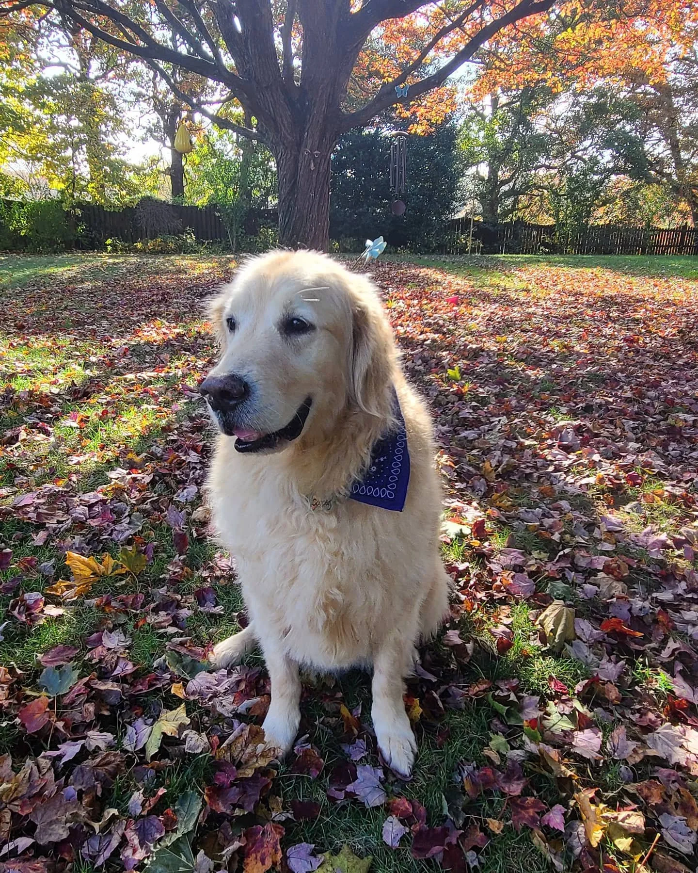 The most handsome boy, Cooper-Bradley