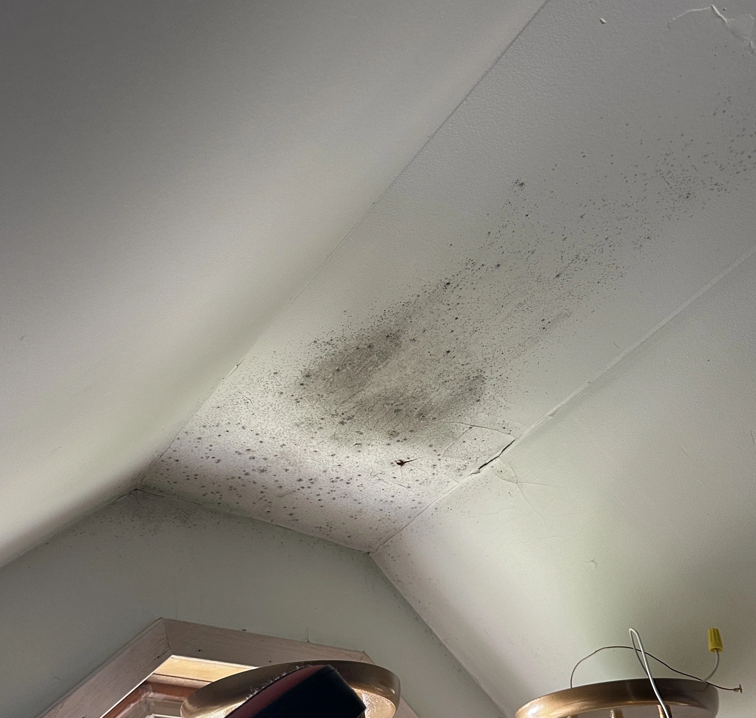 Mold on the ceiling above a window in a room.