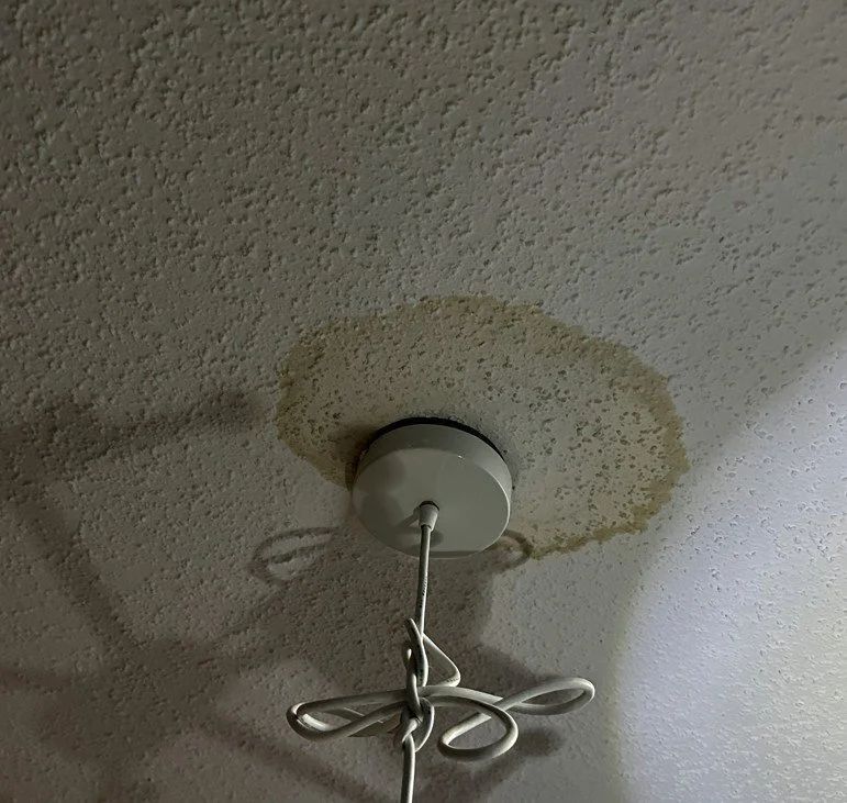 Ceiling fixture, stained ceiling around the fixture.