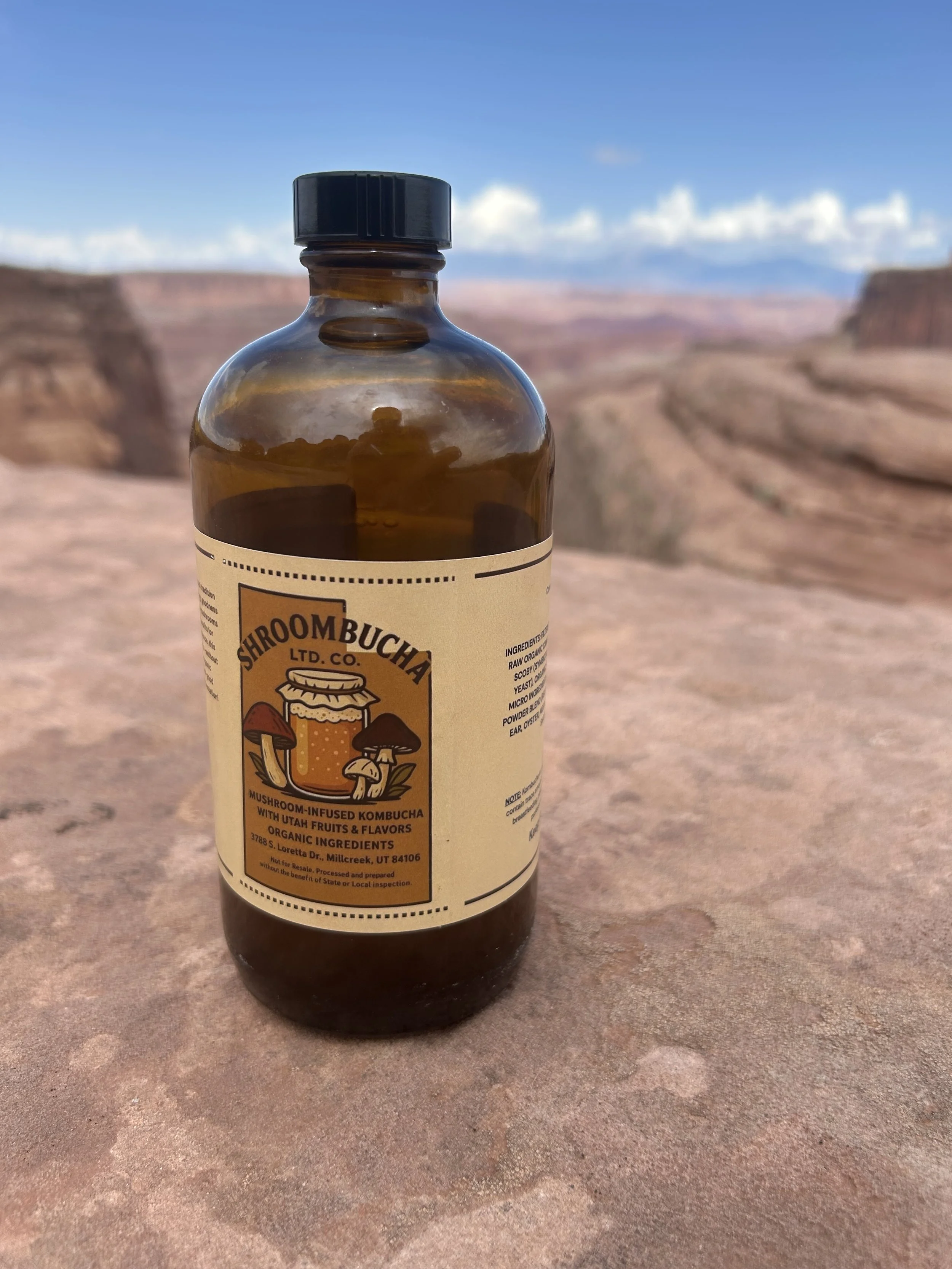 A brown glass bottle of mushroom-infused kombucha with a beige label, placed on a rock surface with a canyon landscape and blue sky in the background.