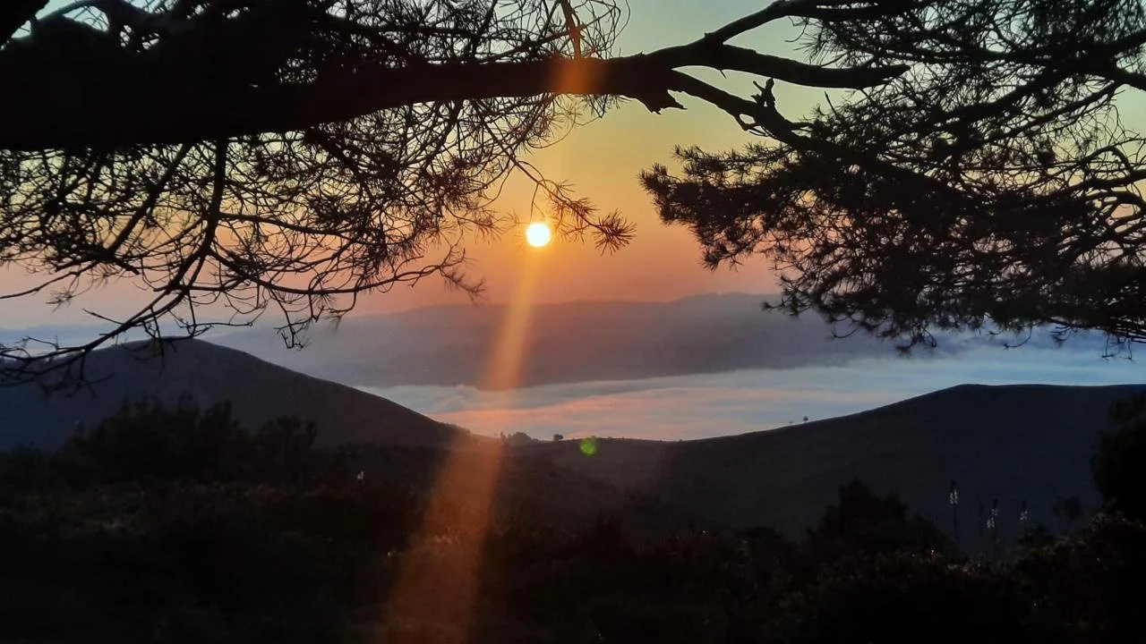 WhatsApp Image 2026-03-04 at 11.25.52.jpeg