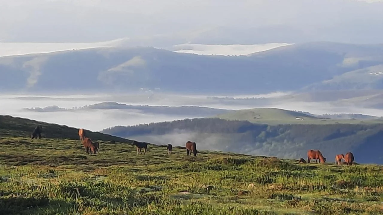 WhatsApp Image 2026-03-04 at 11.25.52 (2).jpeg