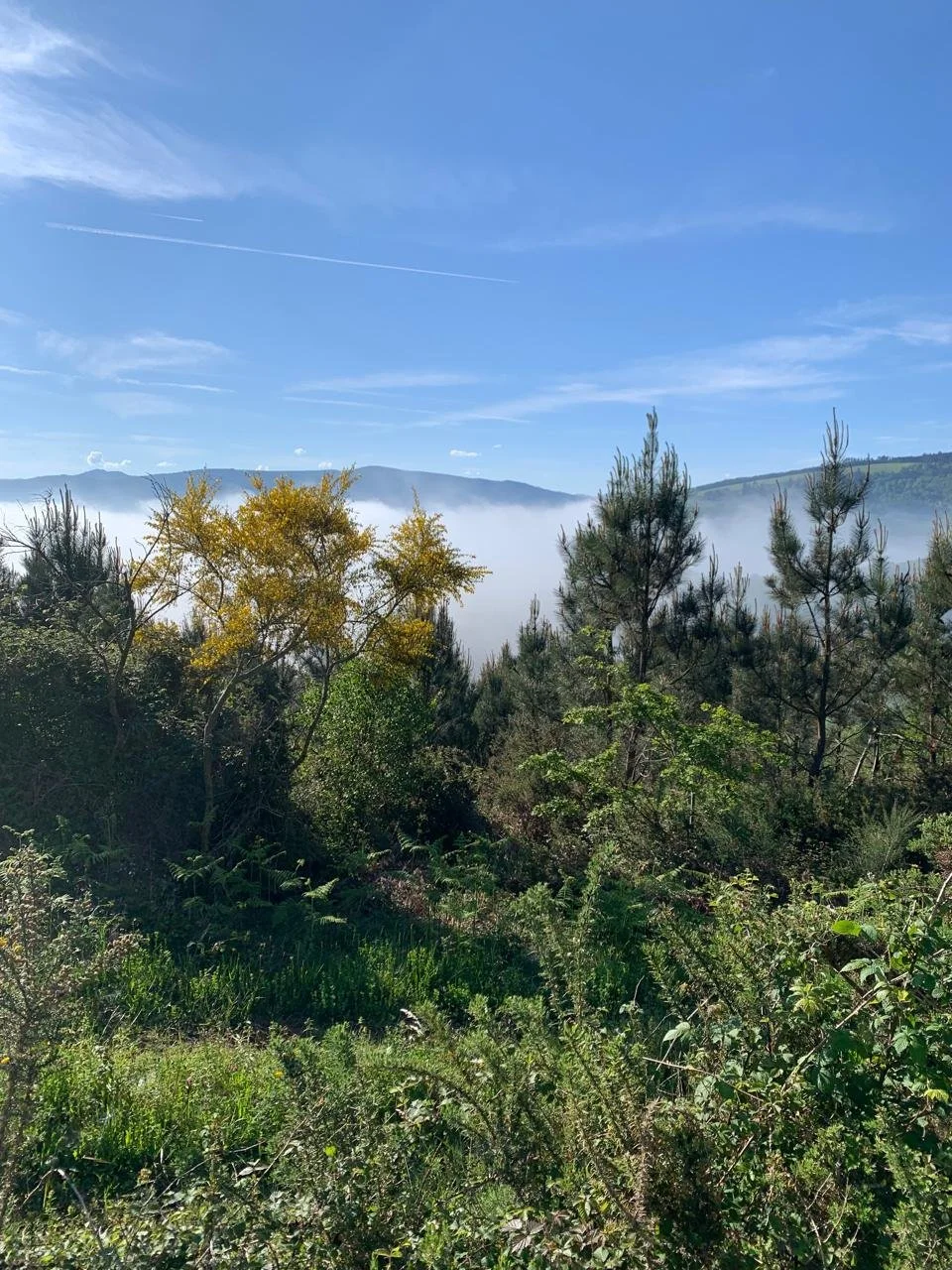 WhatsApp Image 2026-03-04 at 11.25.53 (3).jpeg