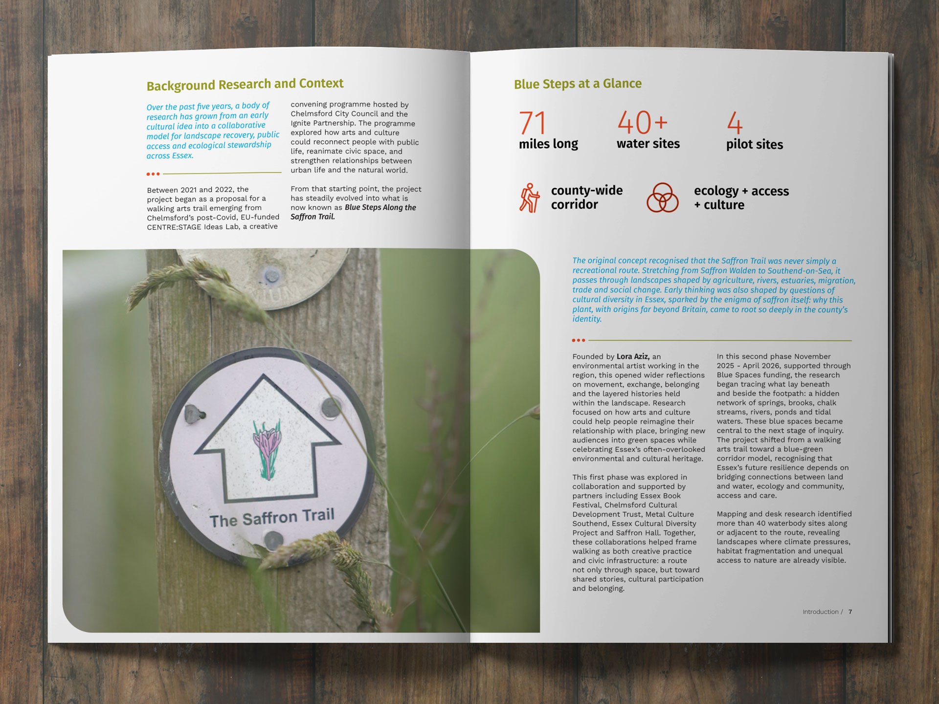 Report-Mock-up-2.jpg
