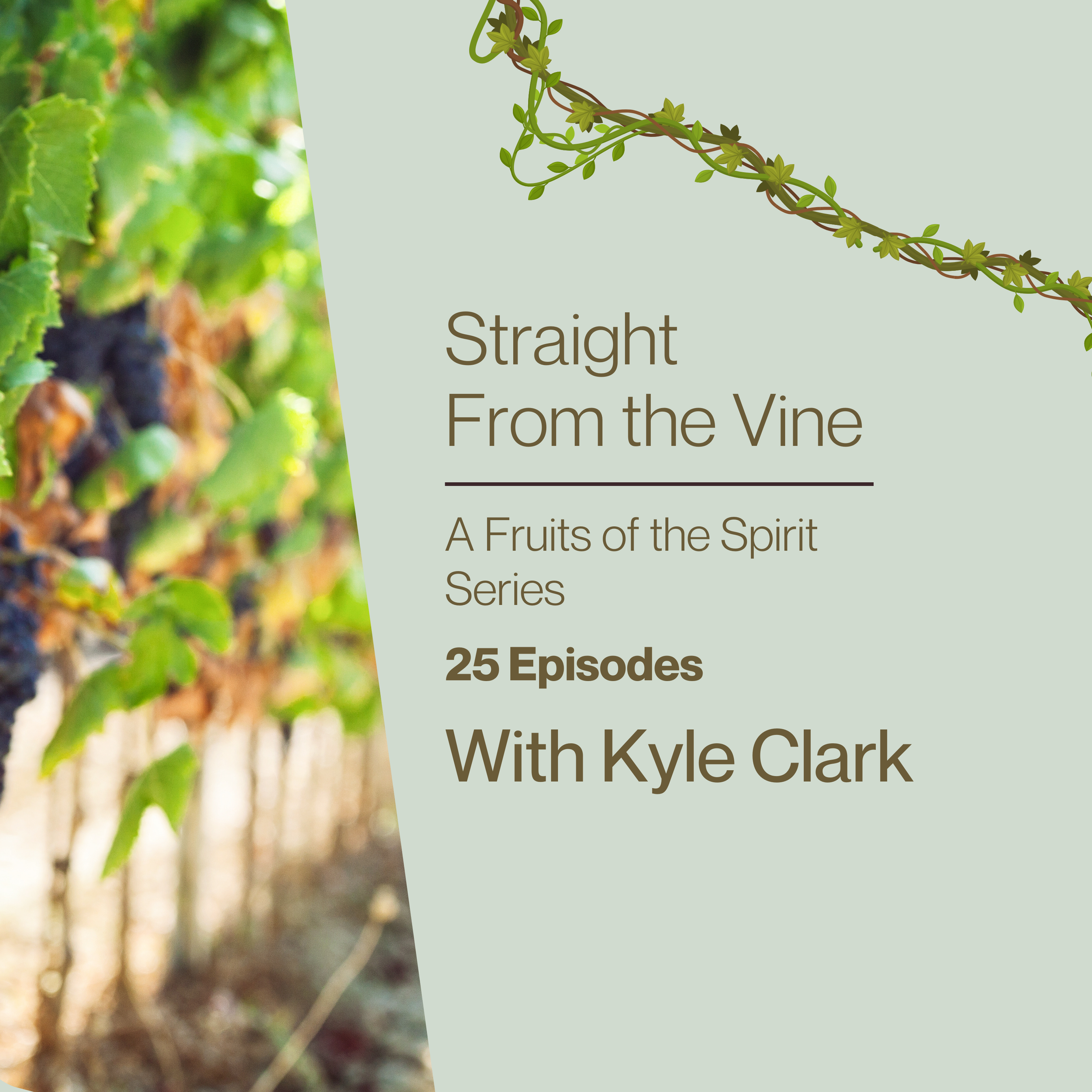Straight From the Vine: A Deeper Look at the Fruits of the Spirit