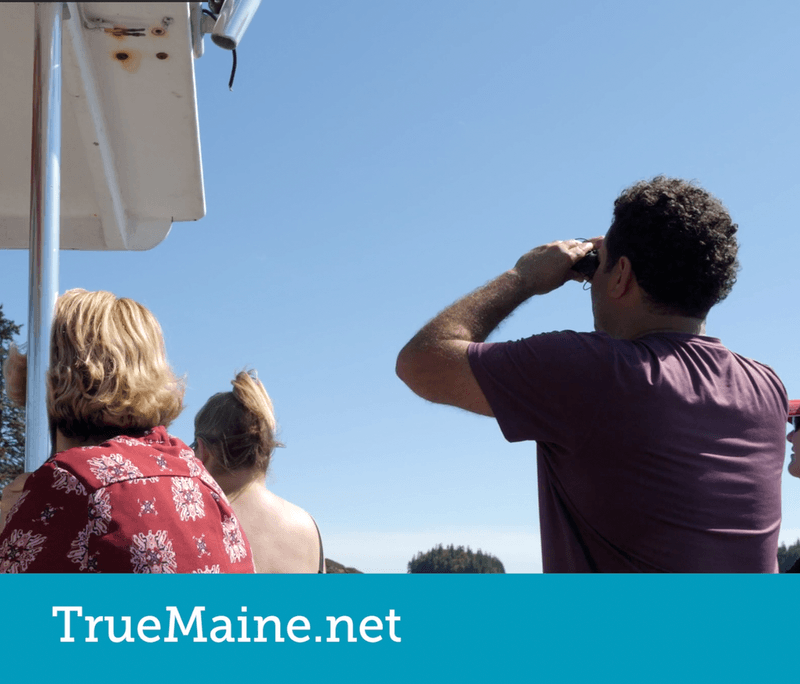 Downeast Acadia Regional Tourism - True Maine