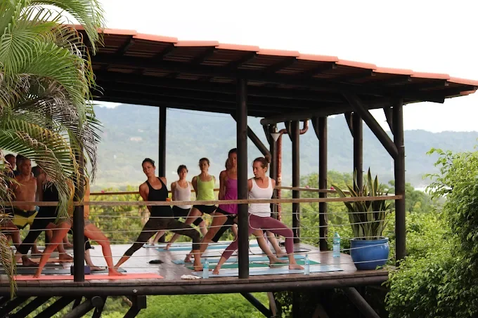 Group of people participating in an outdoor yoga class on a wooden deck with a roof, surrounded by lush greenery and trees.
