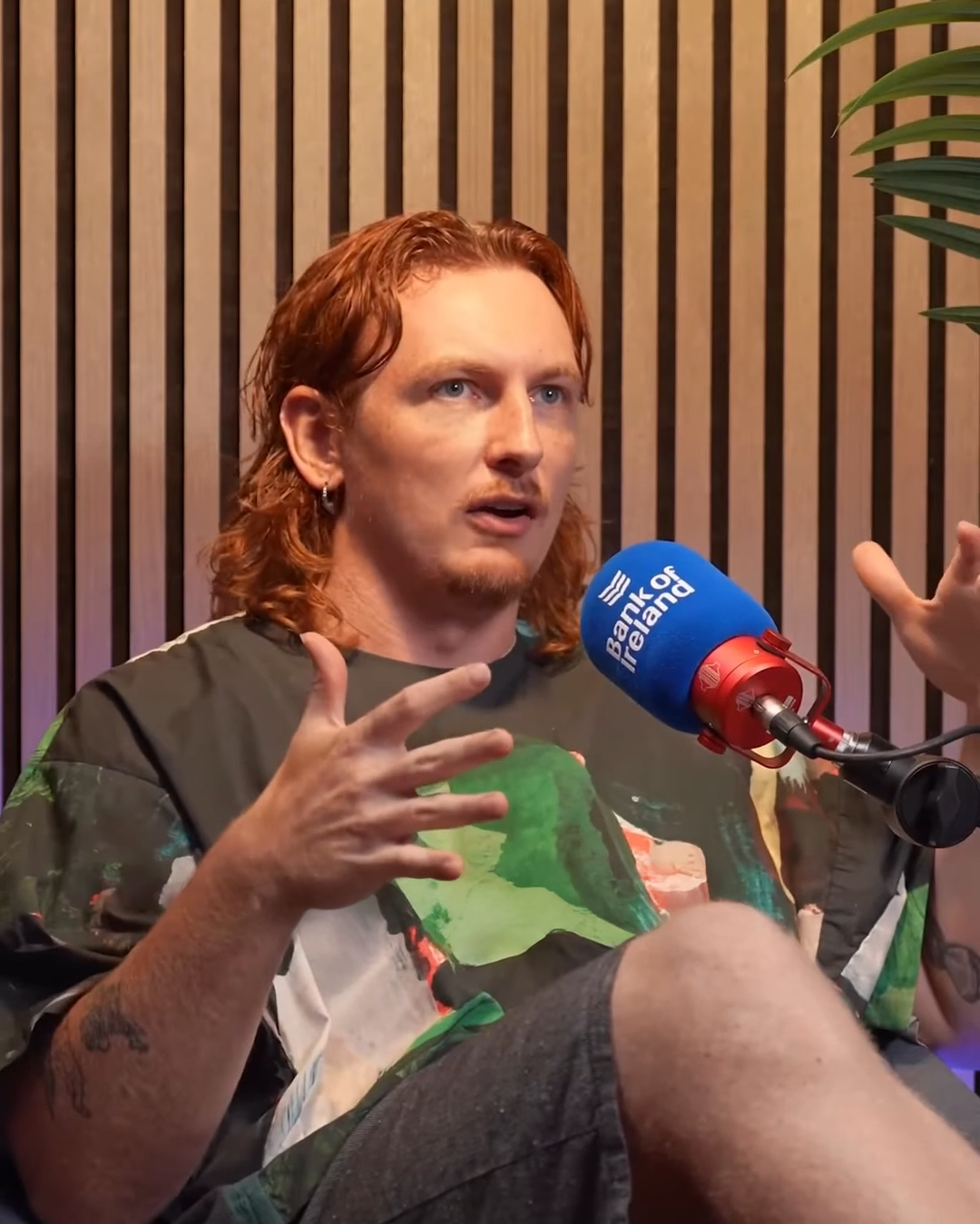 BOI - The Financial Translator