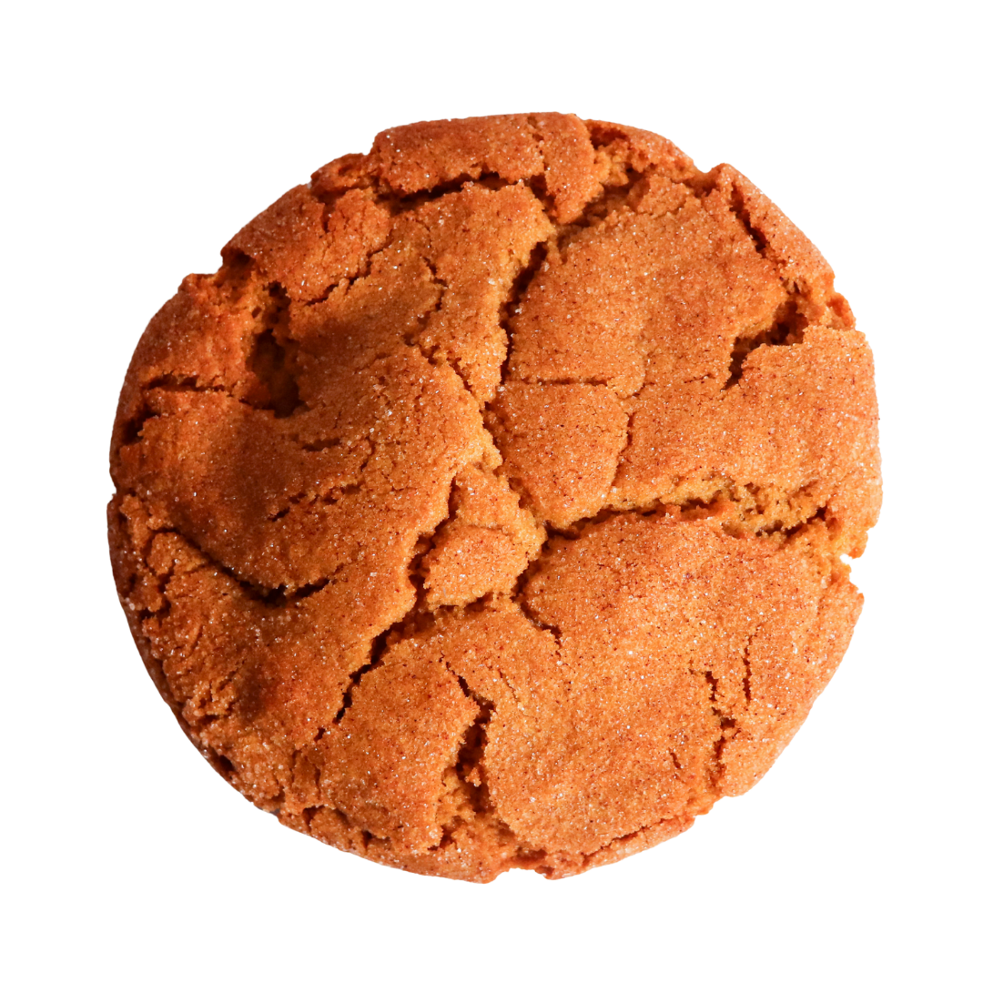 pumpkin cheesecake