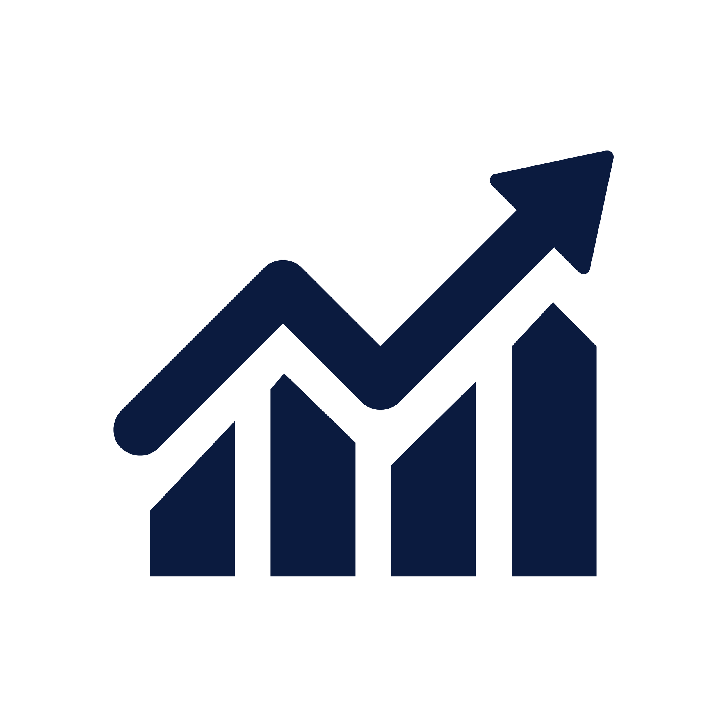 Strategische Umsatz- und Performanceverantwortung