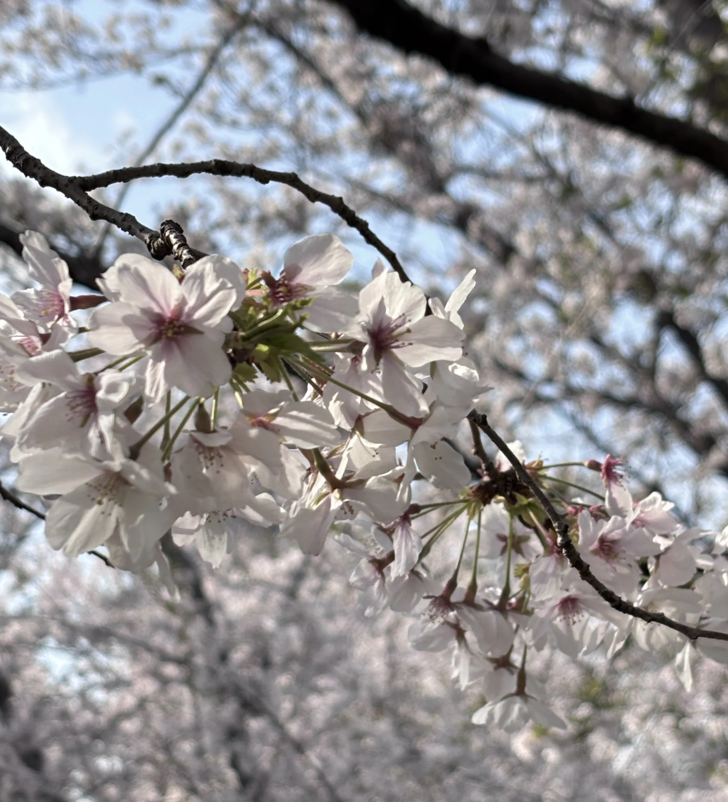 Accepting You No Matter What