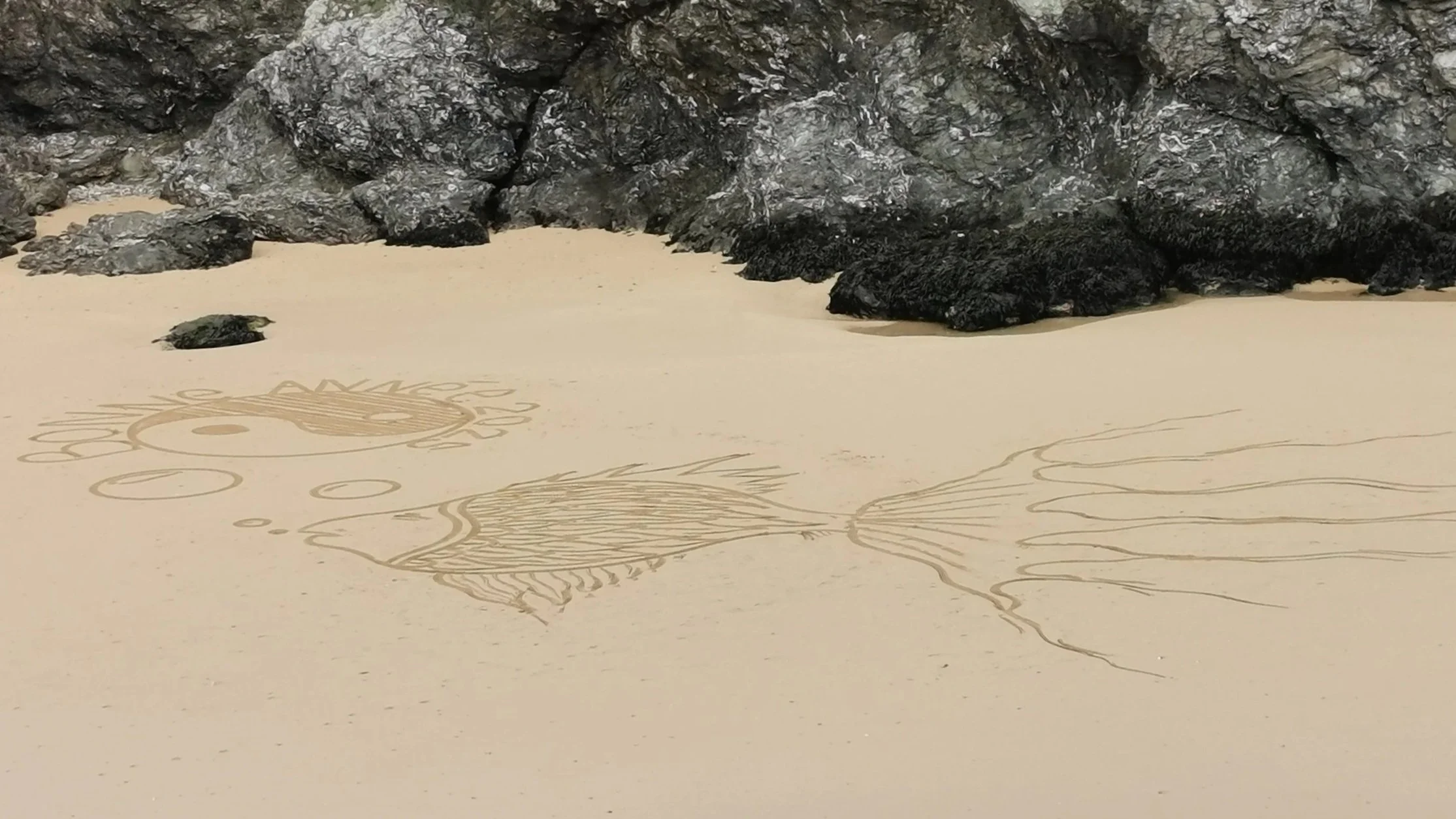 AO5 : les associations déboutées par le Conseil d’État