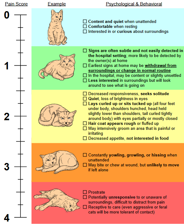 © 2006/PW Hellyer, SR Uhrig, NG Robinson