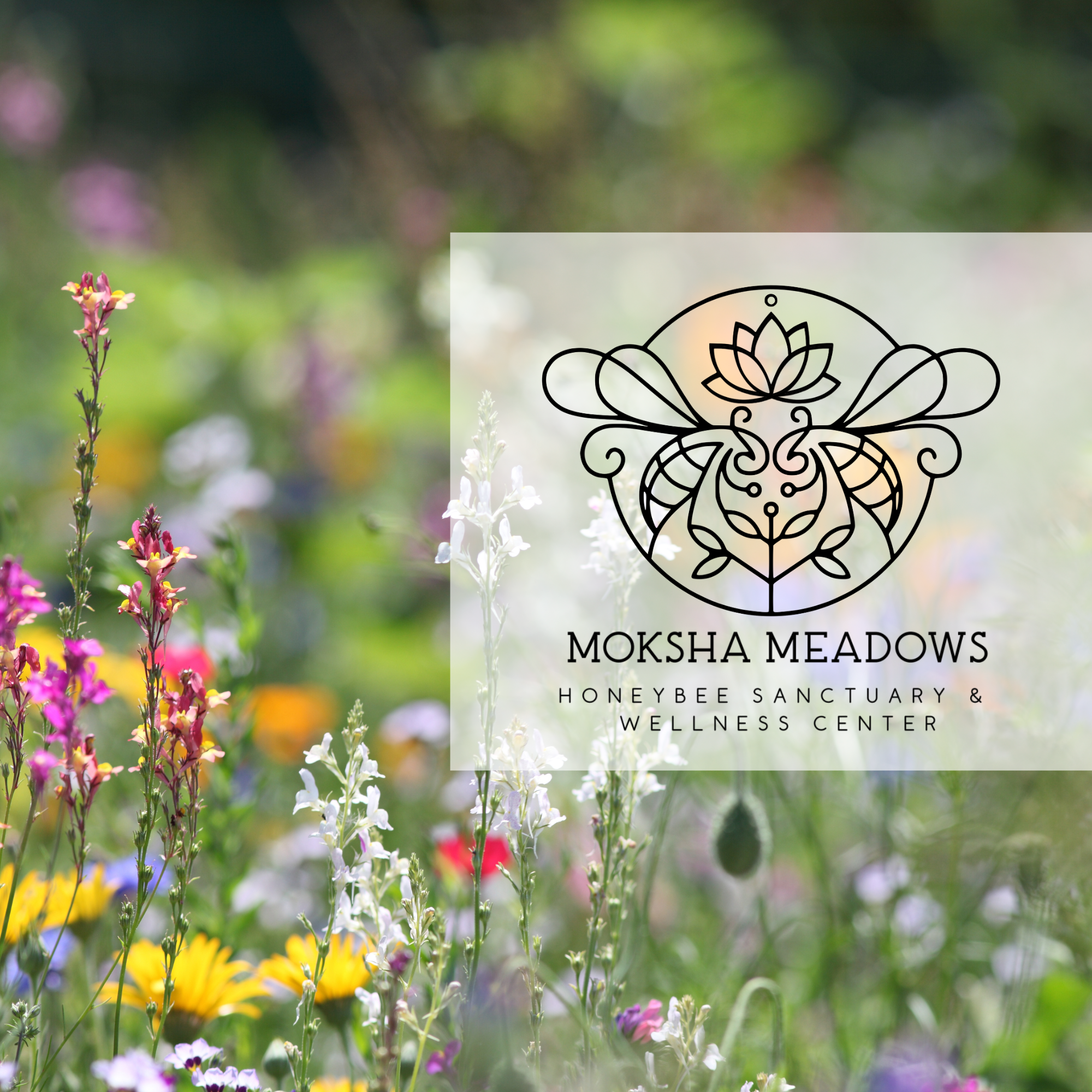 Moksha Meadows Gift Card