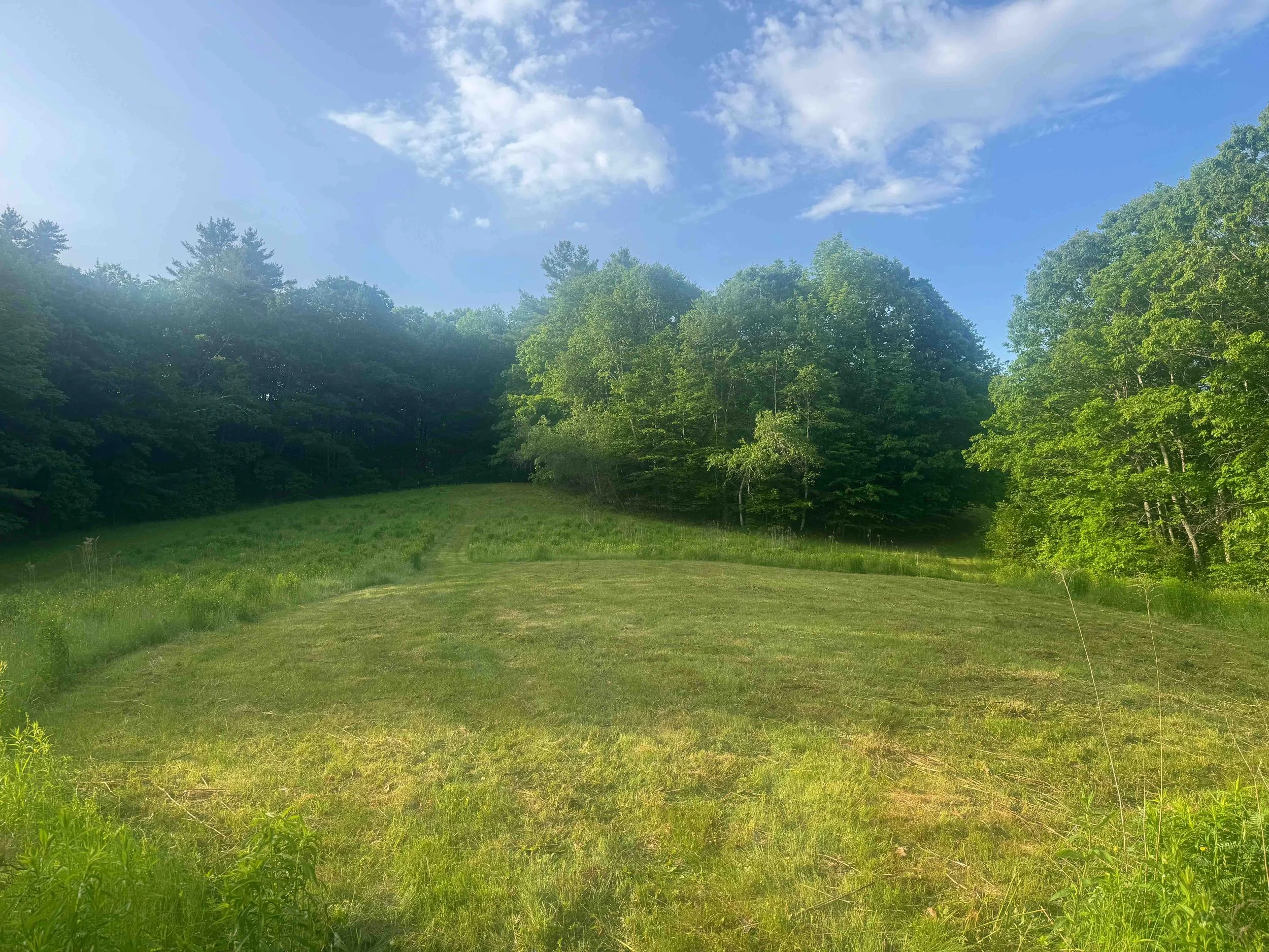 Field Flow Outdoor Yoga 