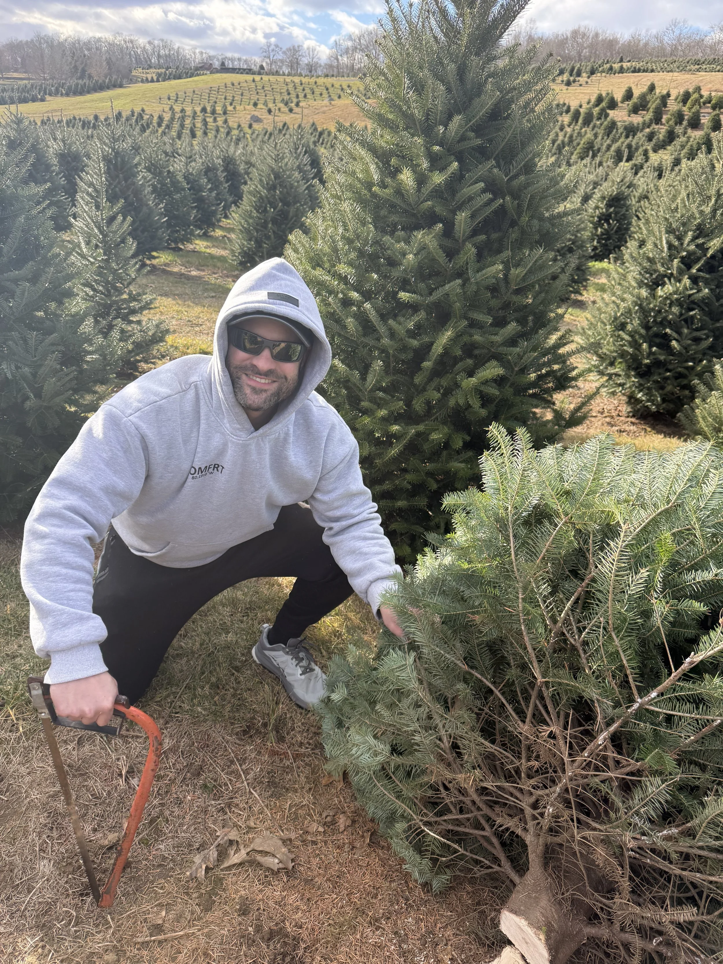 A man in a hoodie and sunglasses crouching next to a cut Christmas tree in a tree farm, with rows of other evergreen trees in the background.