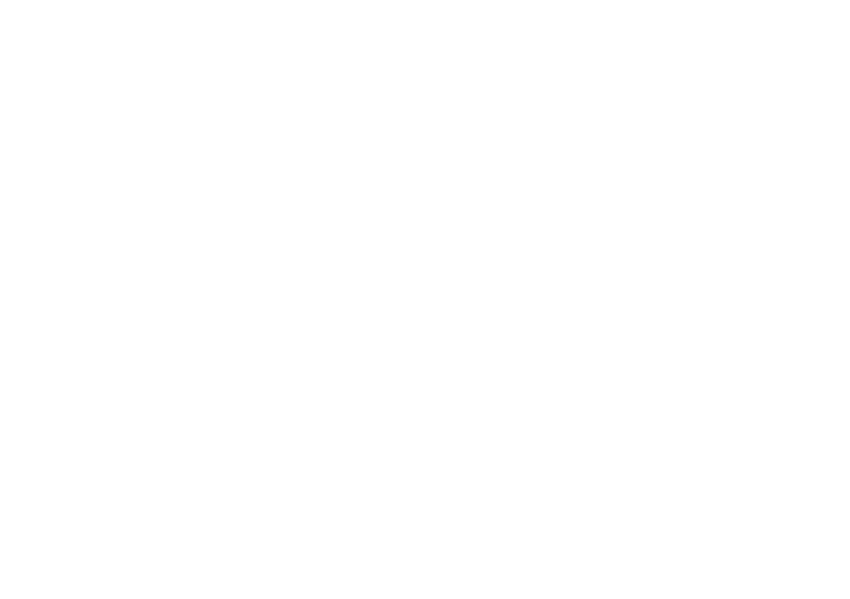 Cinema Raven
