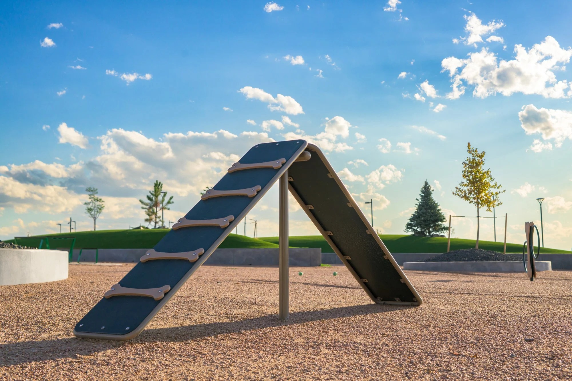 8_Copy of Windler_Discovery-14.jpg