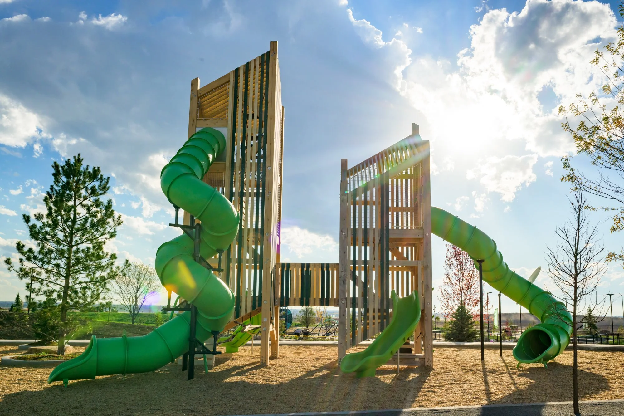 7_Copy of Windler_Discovery-4.jpg