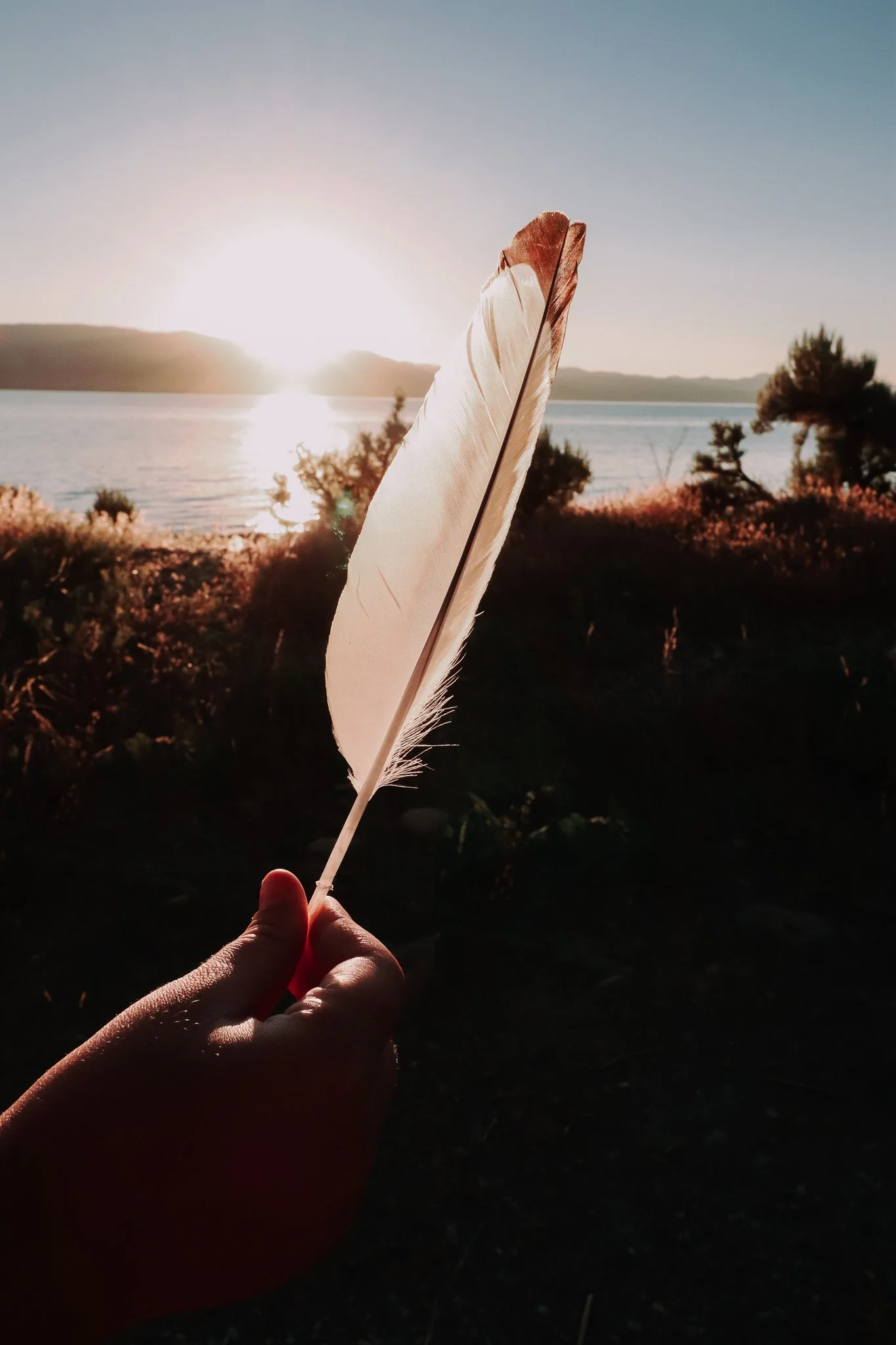 Finding Feathers music.JPG