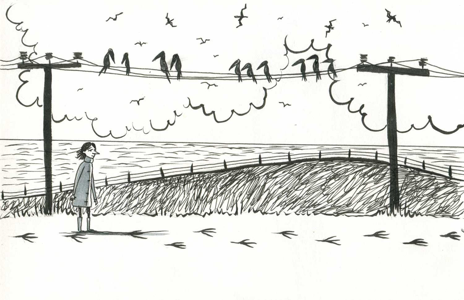 A woman standing on a pathway near the coast, with a fence and grassy hill, looking towards the water and seagulls, with power lines and trees in the background, and birds flying in the sky.