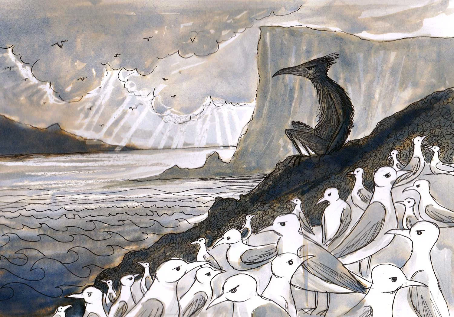 A black bird sitting on a rocky hill overlooking a flock of white birds near the ocean with cliffs and a cloudy sky in the background.