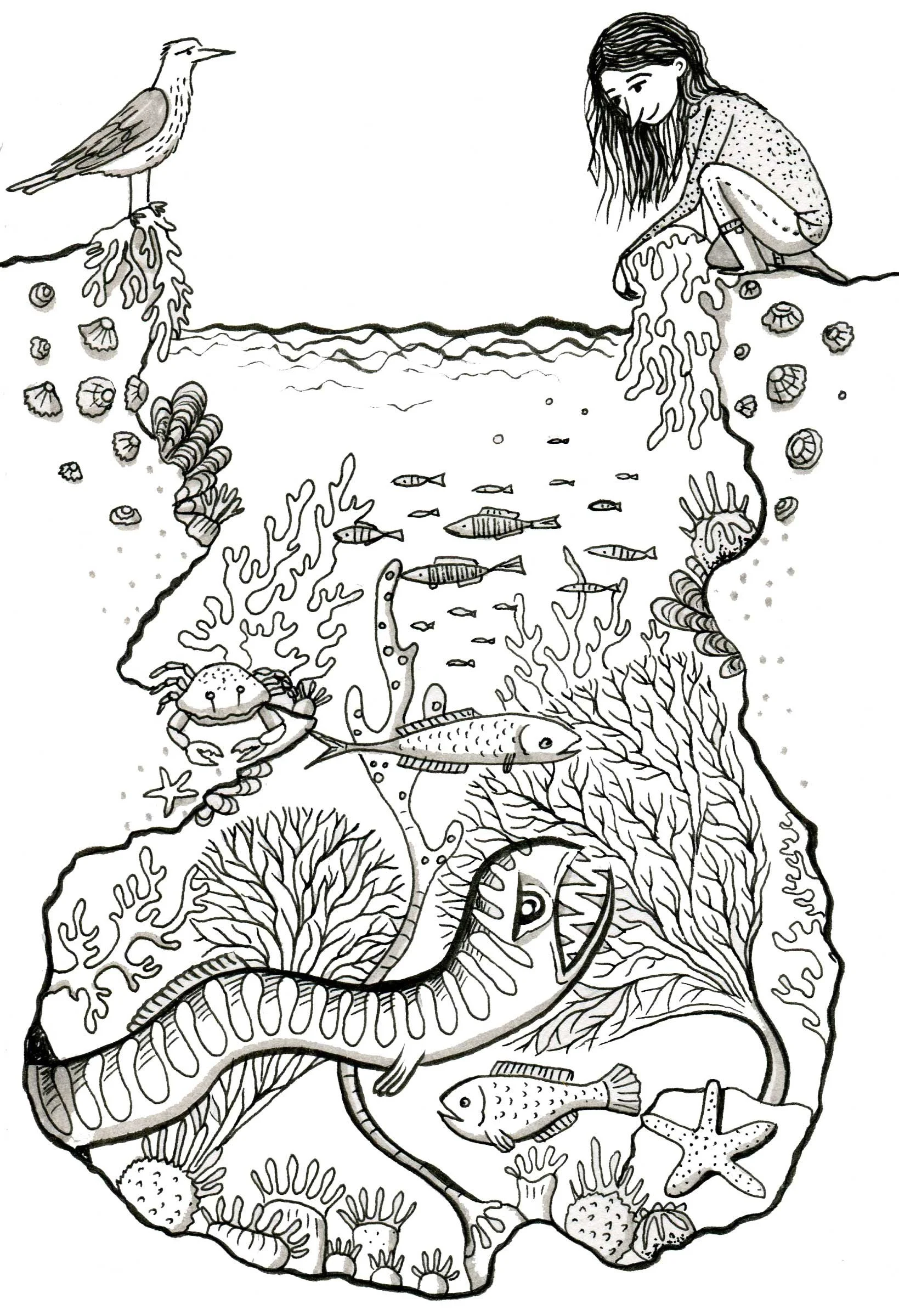 Black and white illustration of a girl squatting on the edge of a rockpool, a seagull perched opposite her, and various underwater marine life including fish, a crab, a starfish, and coral.