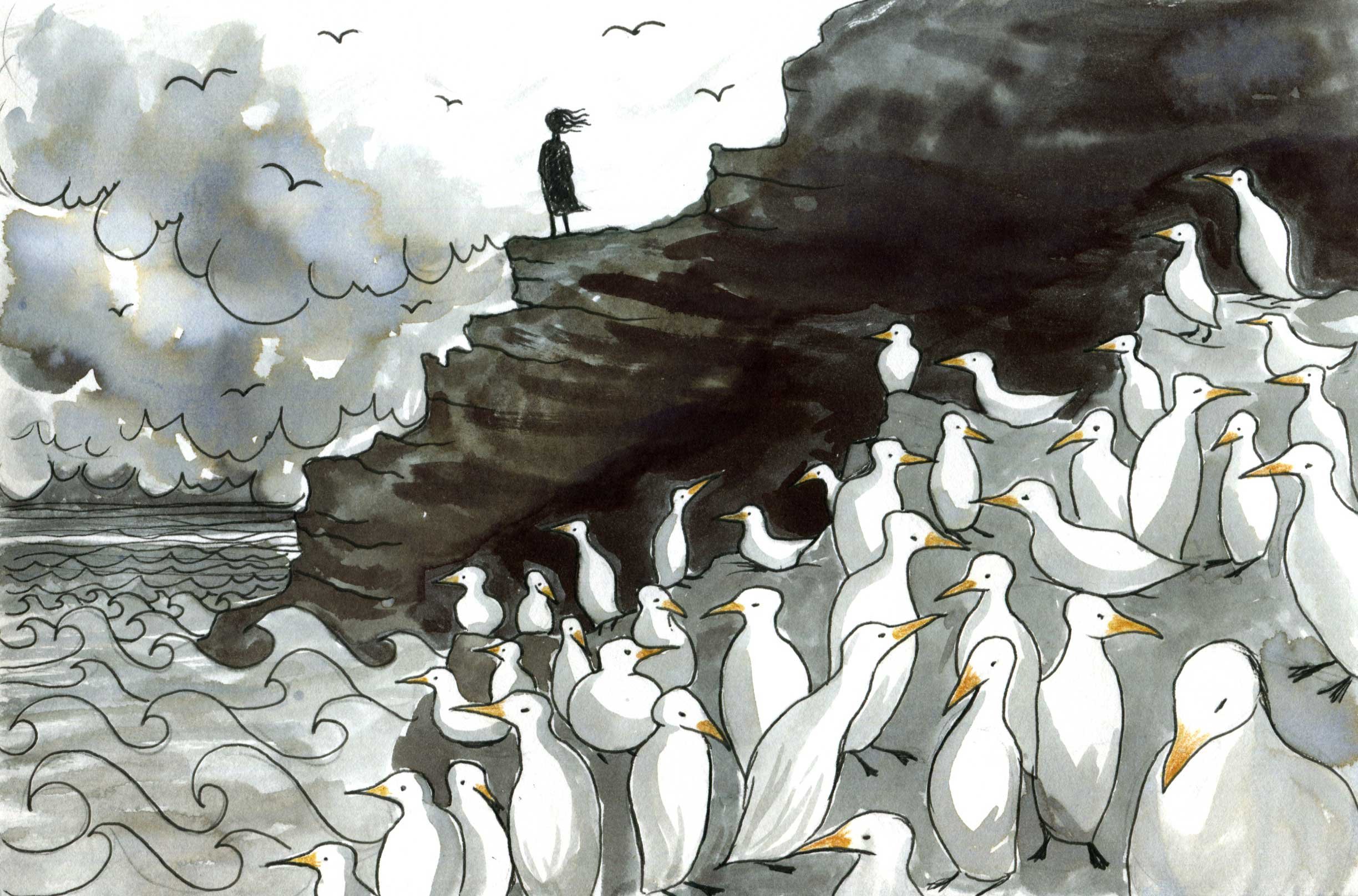 A black and white watercolor illustration of a person standing on a cliff with 16 white seabirds with orange beaks gathered on the rocks and water below, and a cloudy sky with seagulls flying.