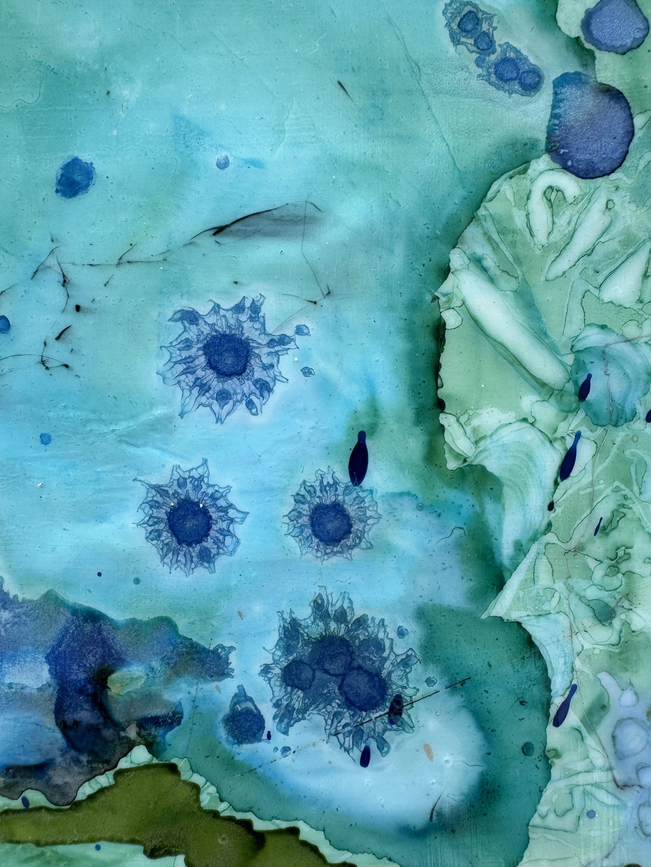Mary-Ellen-Studios-Tranquil-View-Artwork-02.jpeg