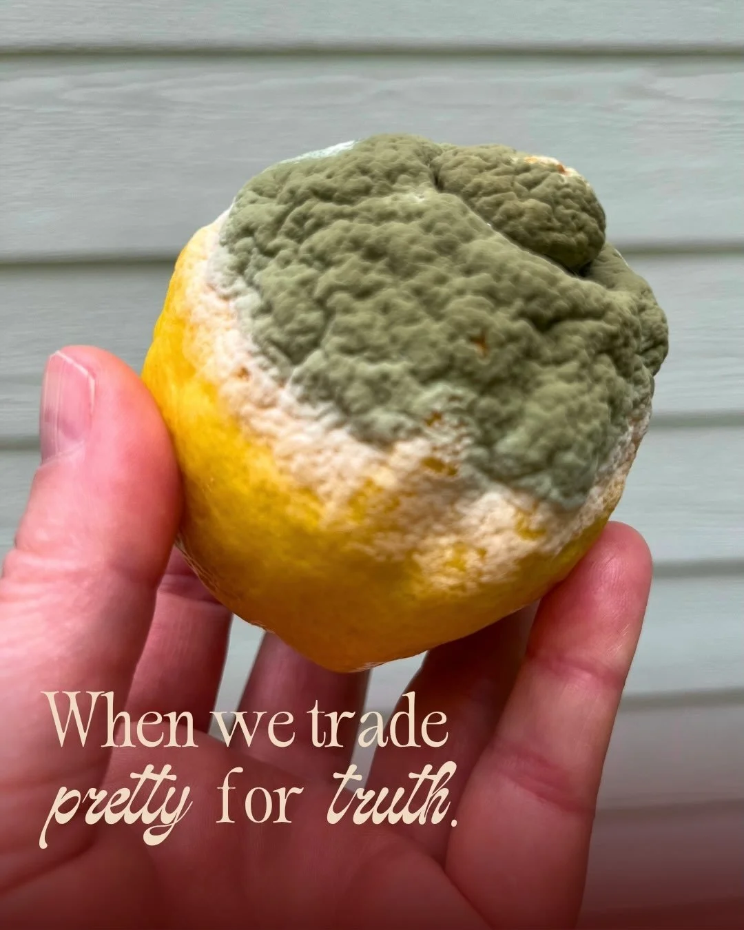 I am drawn to ugly.

Less interested in what is conventionally beautiful. The perfect pose. The gorgeous photo.

That kind of beauty has its magic and yet, what captivates me is something not presented as beautiful. But as true.

Like this lemon. Ful