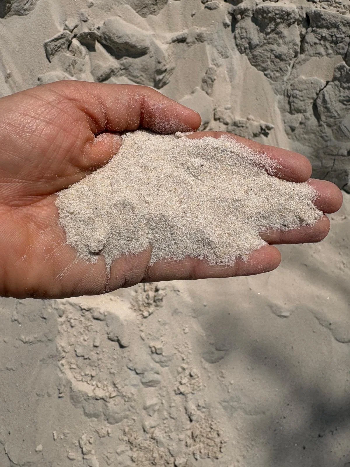 WhatsApp Image 2026-05-05 at 12.27.45 PM (1).jpeg