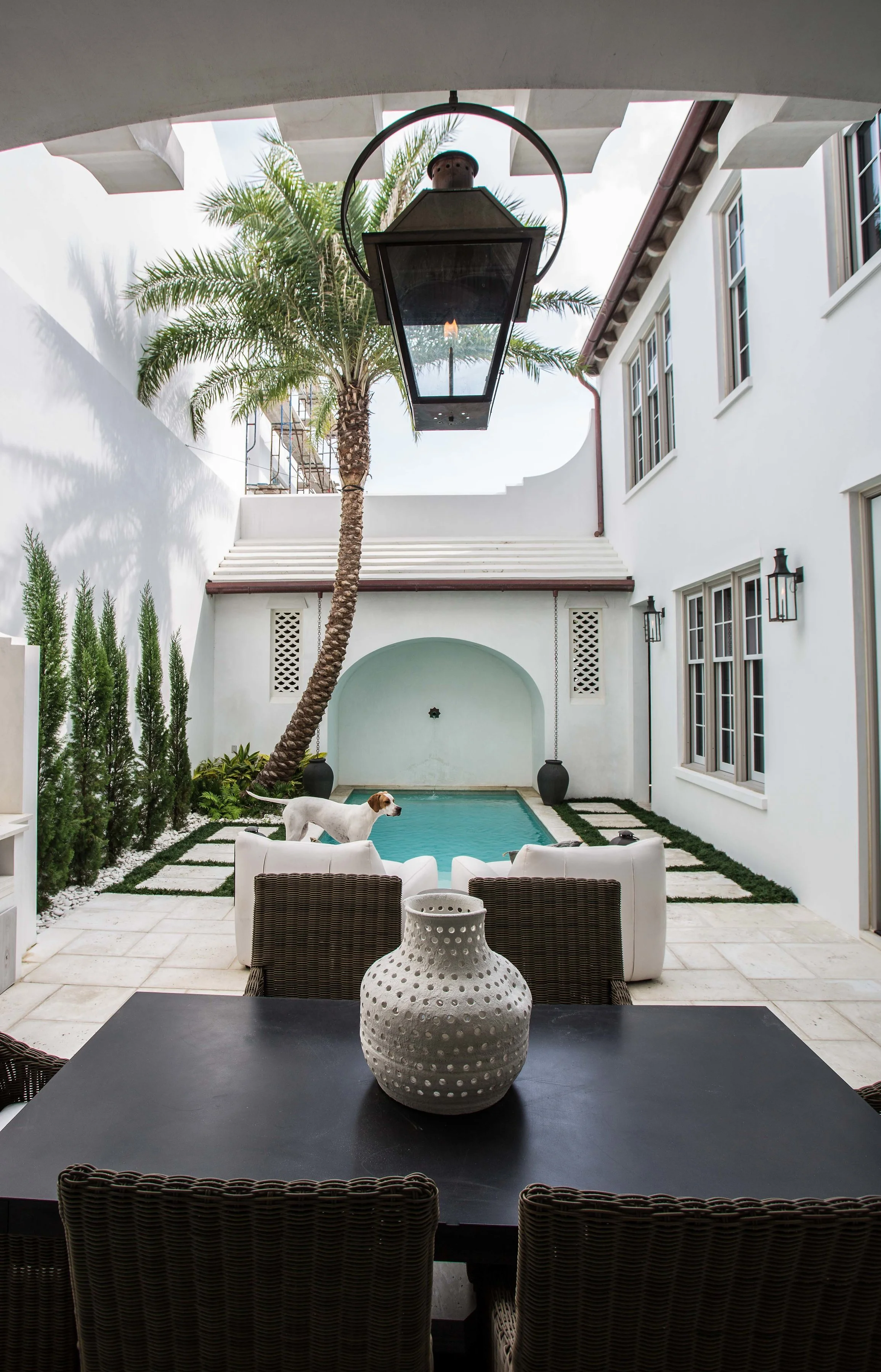 A backyard patio with a dining table in the foreground, a white dog near a small pool, and a tall palm tree. The area is enclosed with white walls and has a modern, minimalistic style.