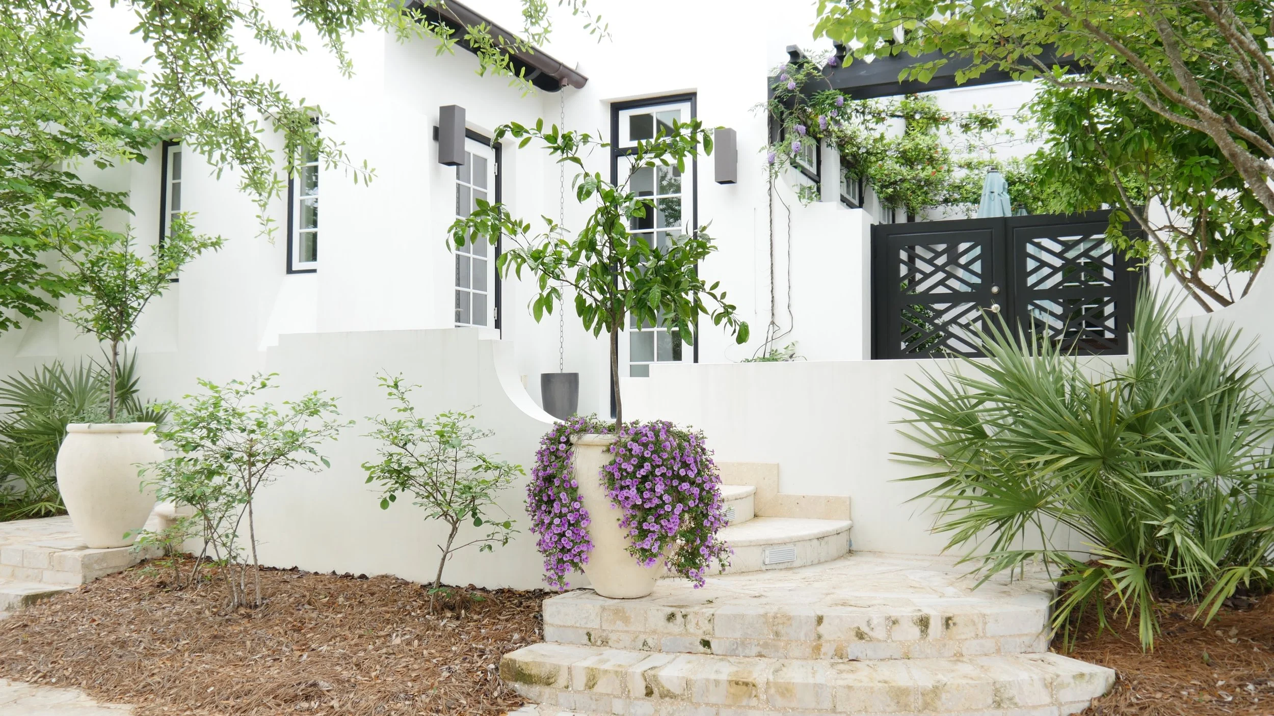 Modern house with white exterior walls, black window frames, and a black decorative gate, surrounded by landscaped garden with potted plants and trees, including purple flowering plants in large pots.