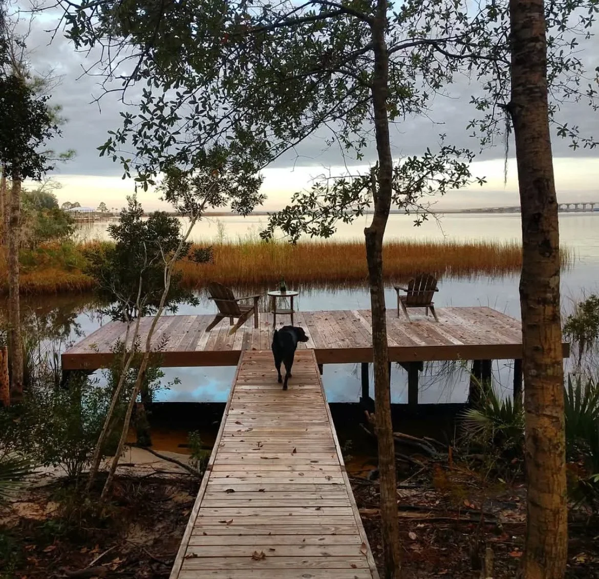 A wooden dock extending over calm water, with two Adirondack chairs and a small table on it, surrounded by trees. A dog walks on the dock toward the chairs, and the scene is under a cloudy sky with distant buildings and a bridge visible across the wa